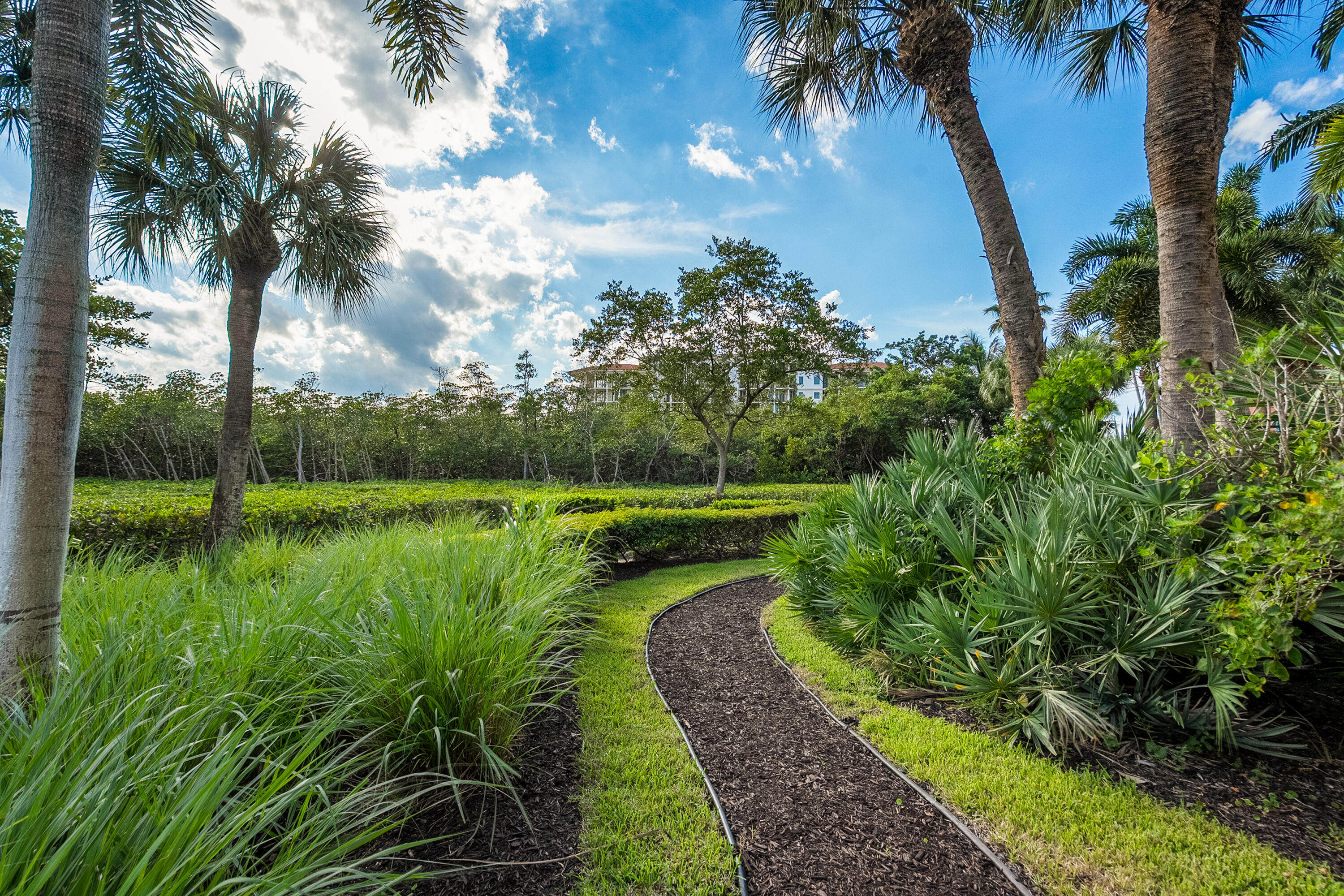 Curving garden path through tropical landscaping, framed by palms and manicured hedges.