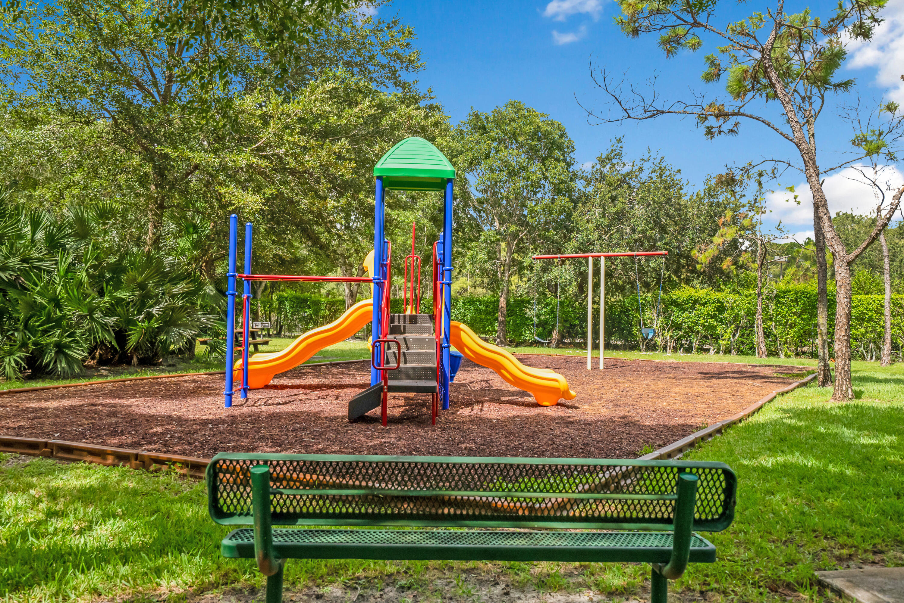 Outdoor playground with colorful slides and swings, framed by trees and a green bench.