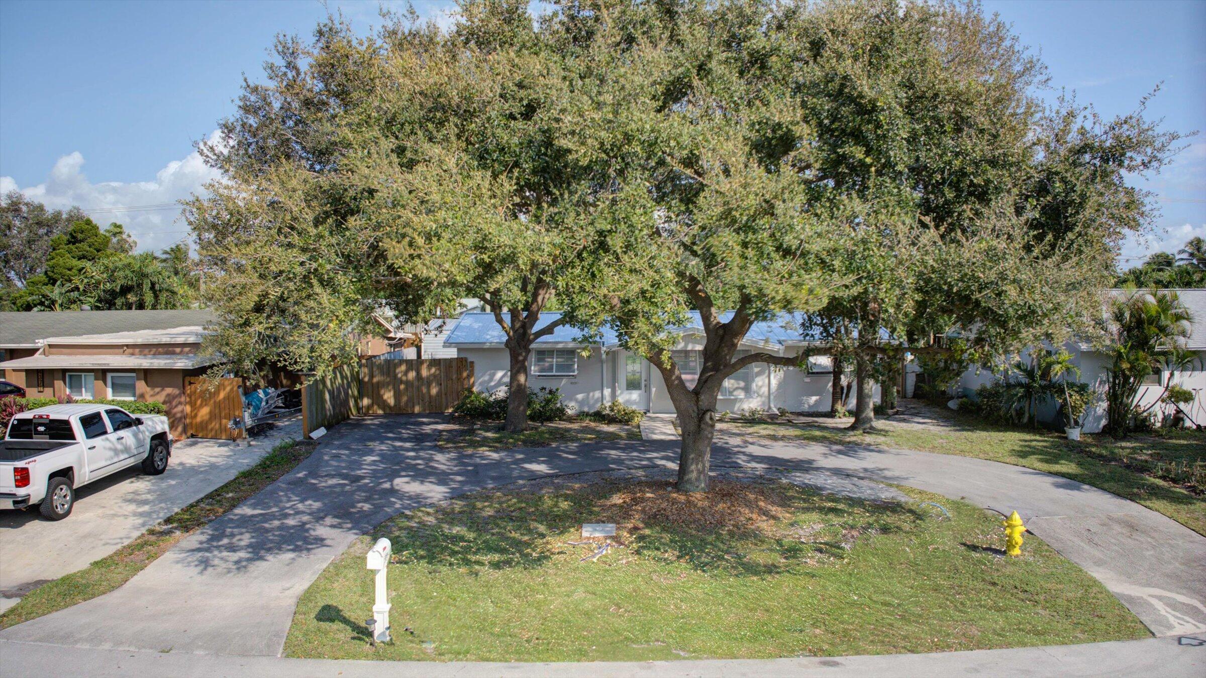 Single-story home with solar panels, shaded by mature trees beside its front driveway.