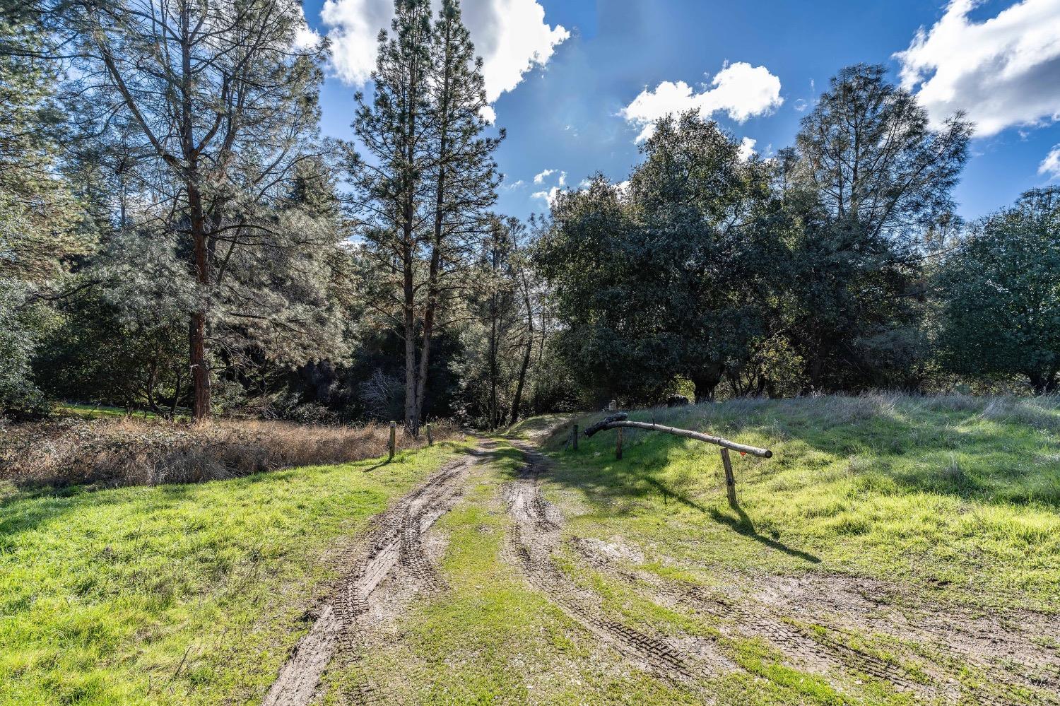 17748 Red Mule Road