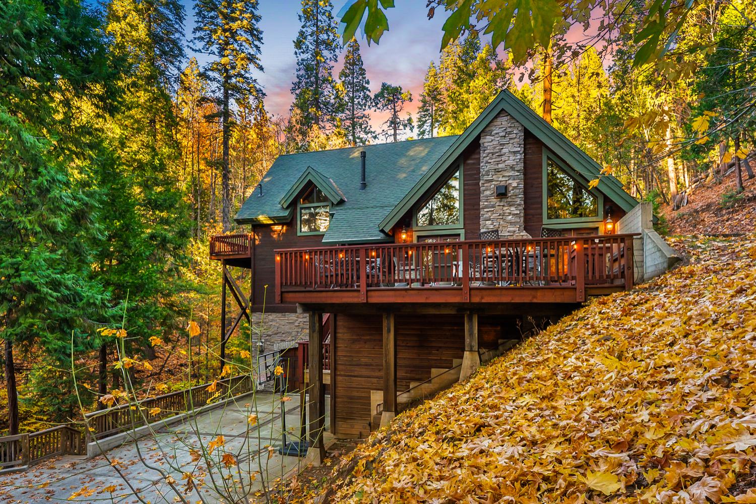 1115 Meadow Drive