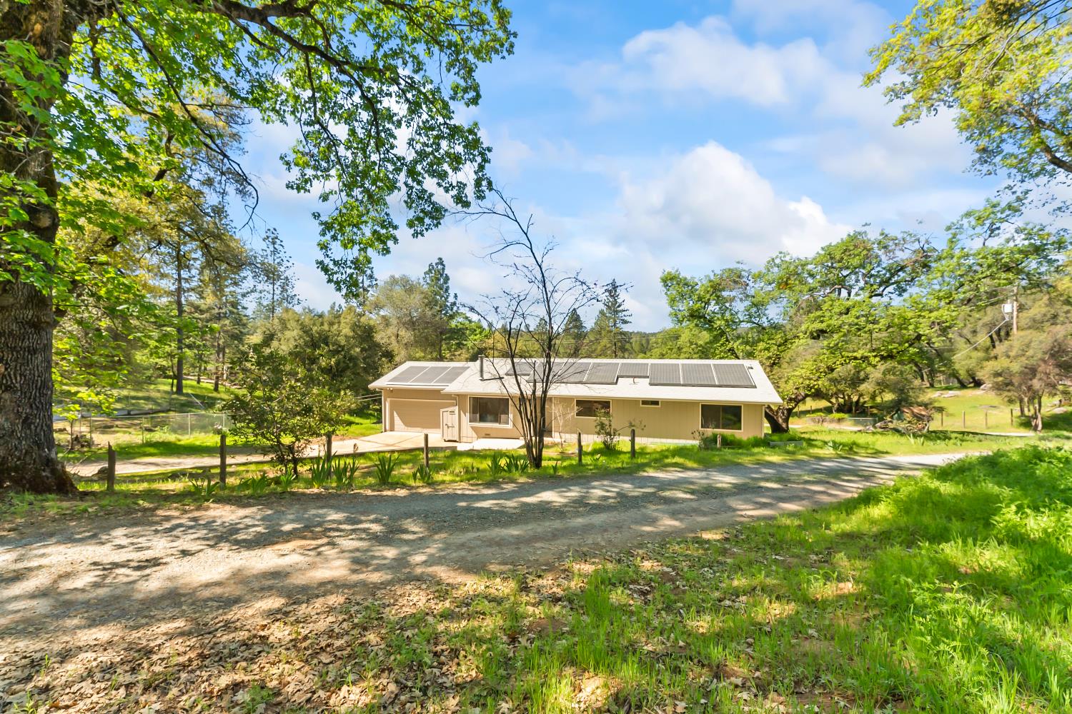 Single-story home with rooftop solar panels, surrounded by trees beside a gravel driveway.