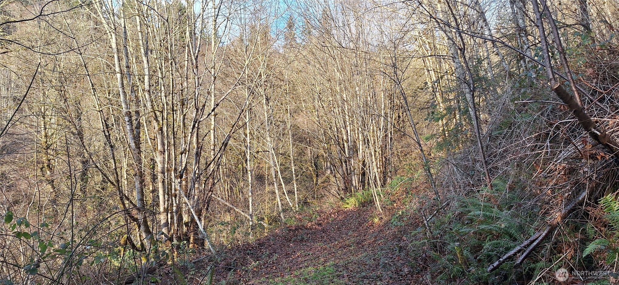 1586 King Road