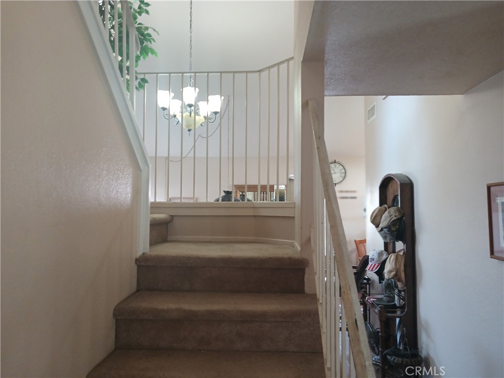 36732 Spanish Broom Drive