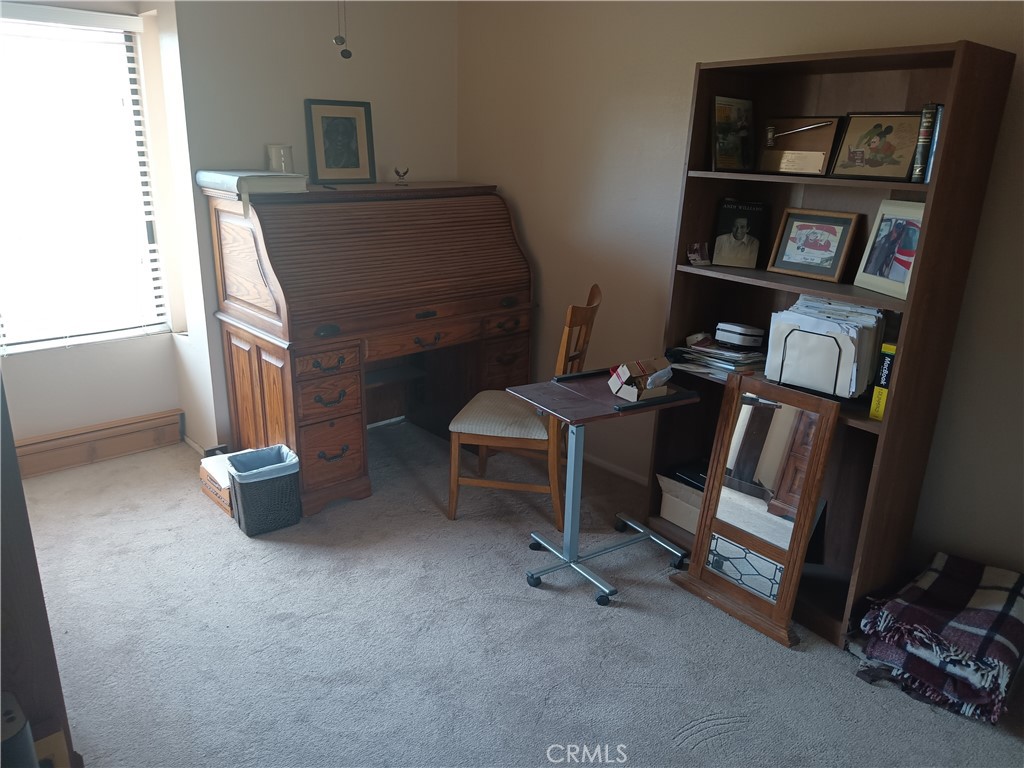 36732 Spanish Broom Drive