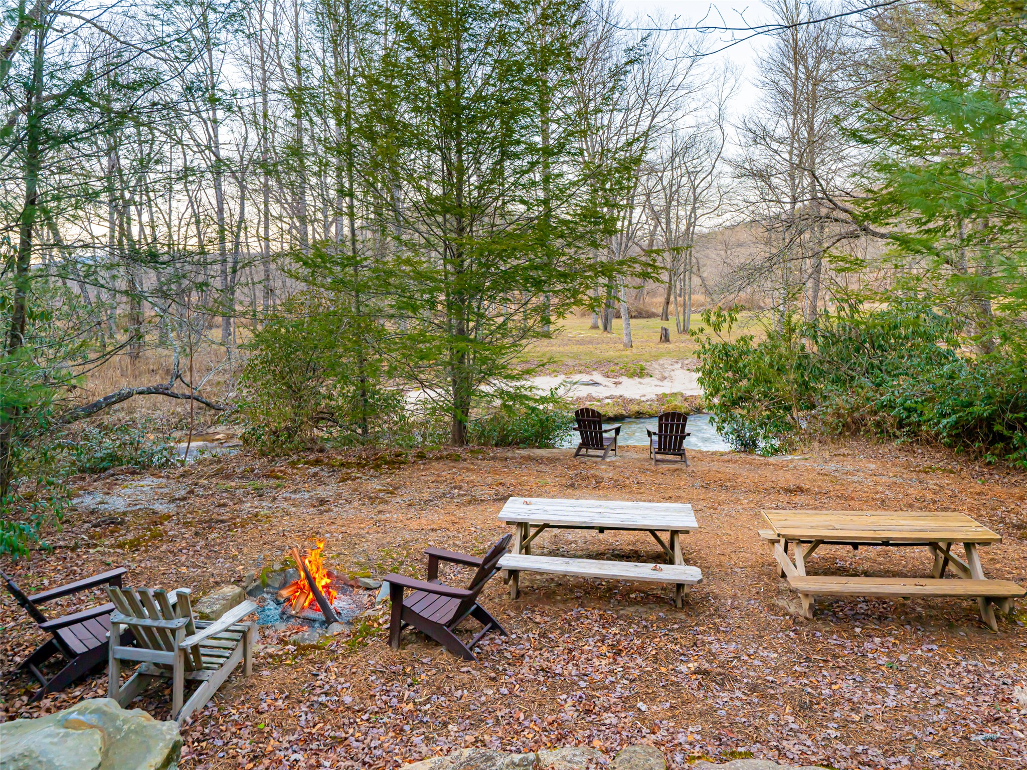 355 Doghobble Road