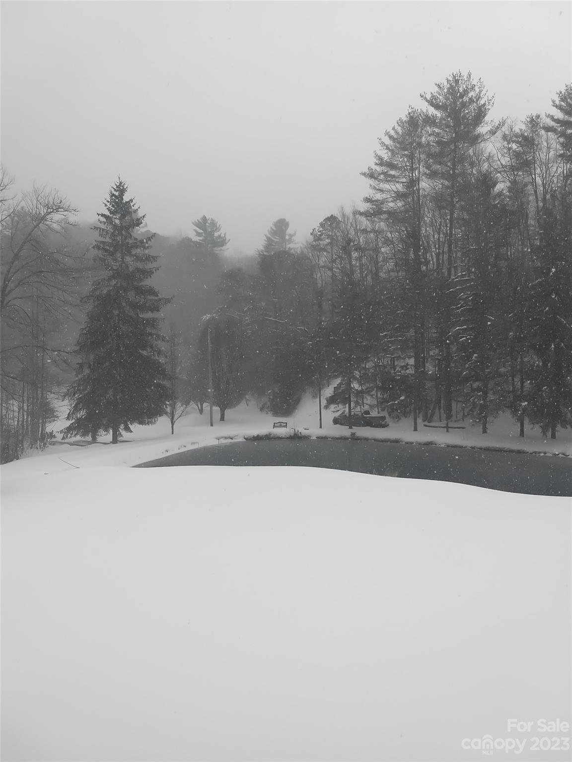1555 Frozen Creek Road
