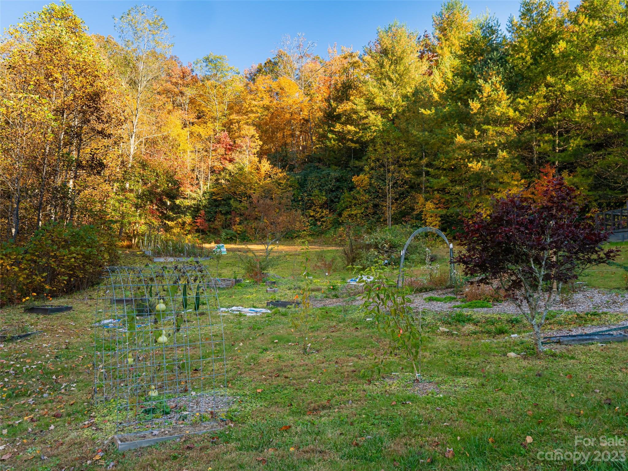 1555 Frozen Creek Road