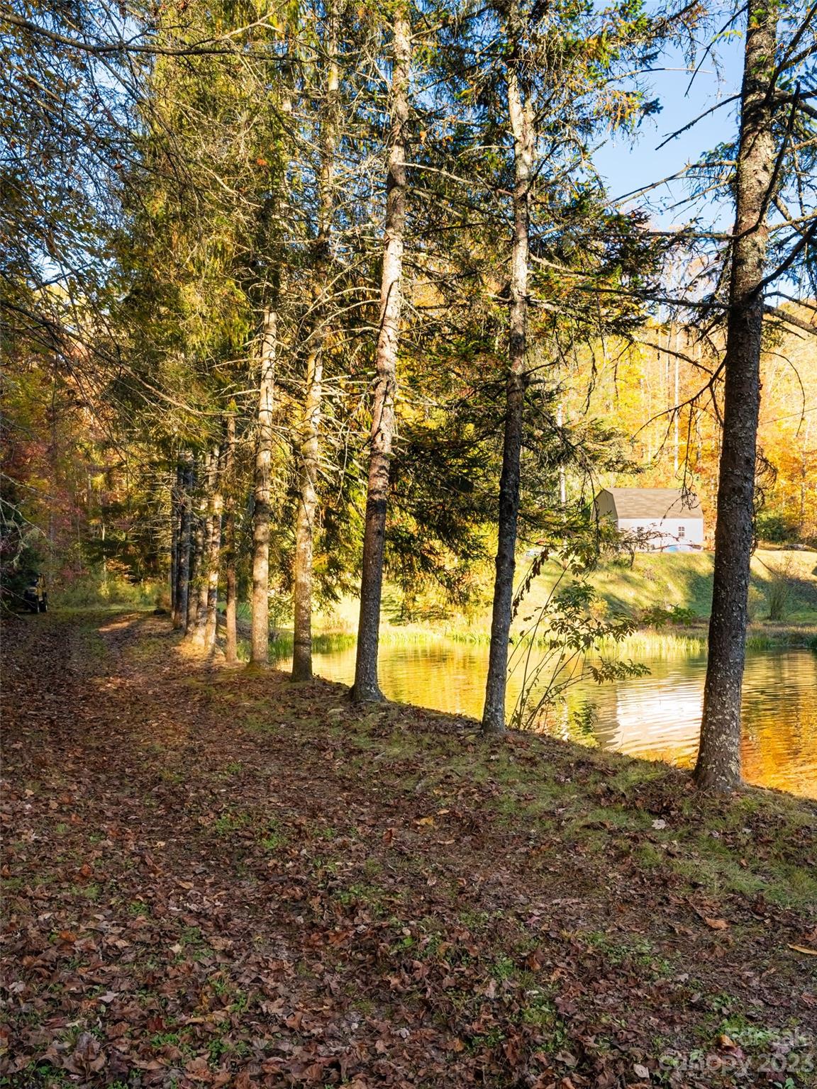 1555 Frozen Creek Road