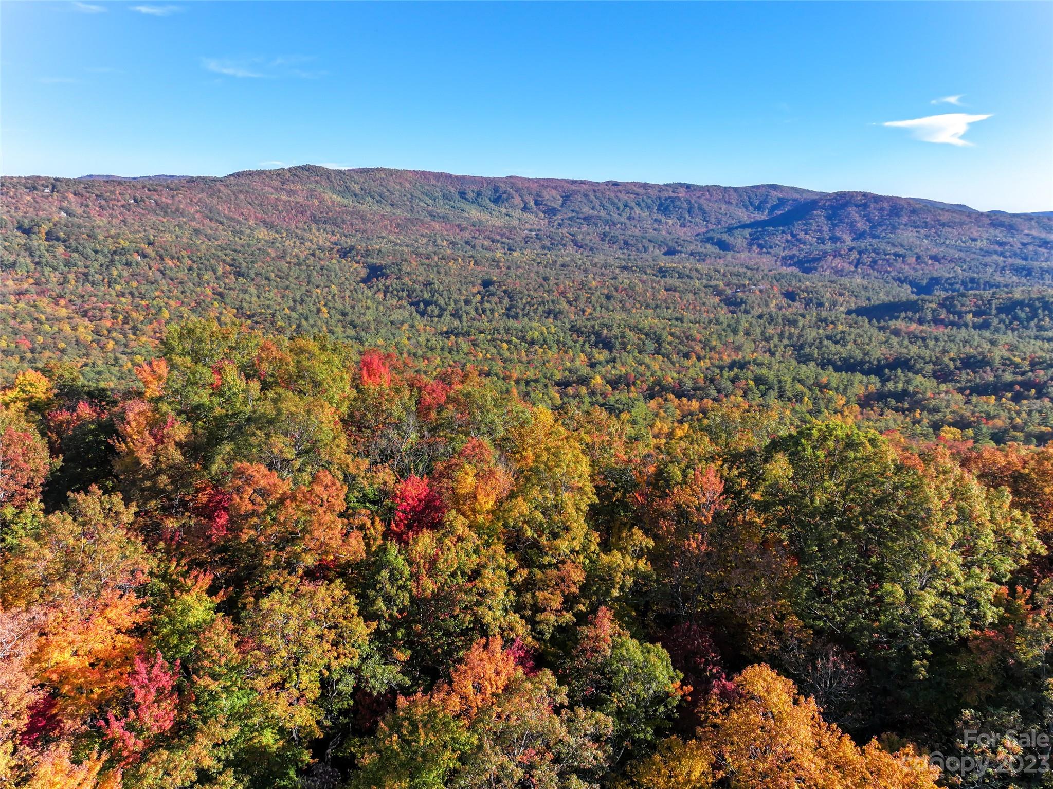 1555 Frozen Creek Road