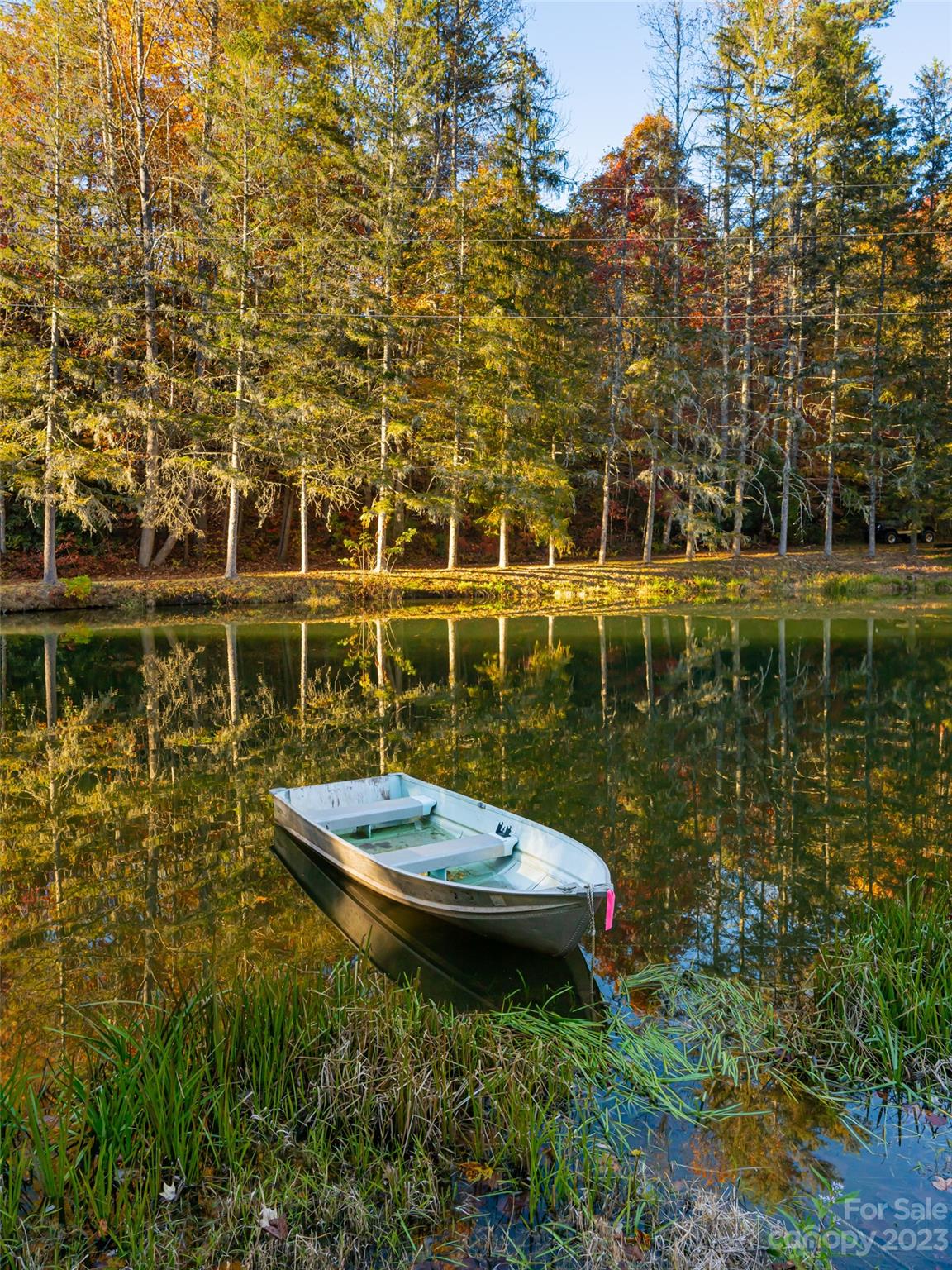 1555 Frozen Creek Road