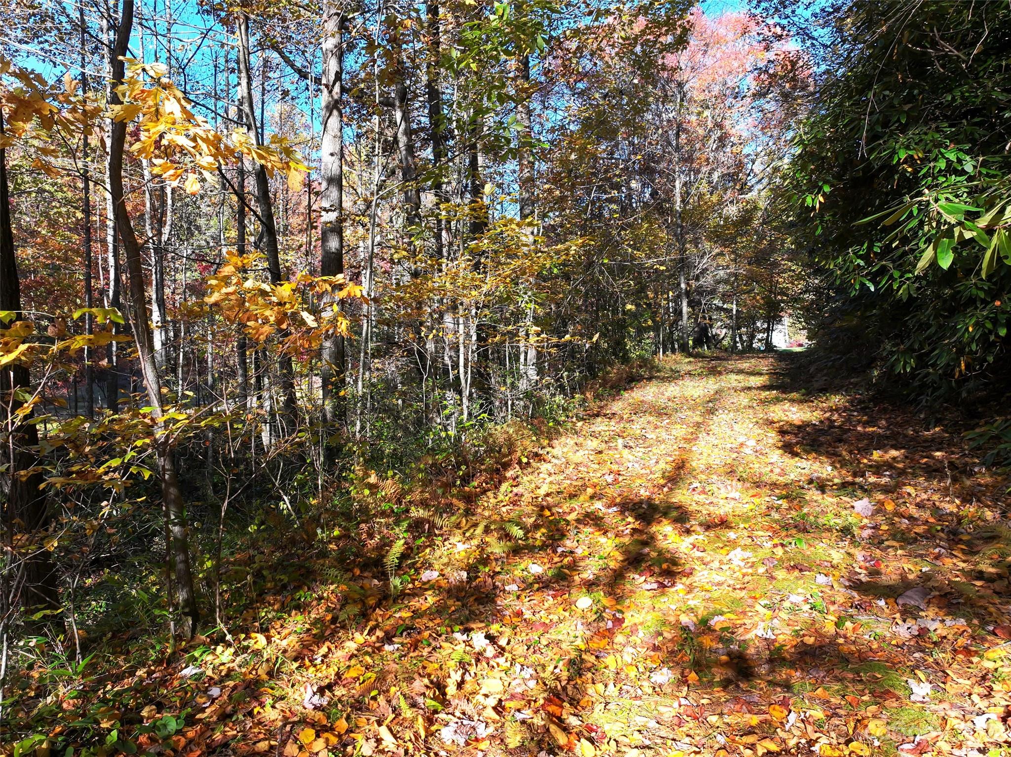 1555 Frozen Creek Road