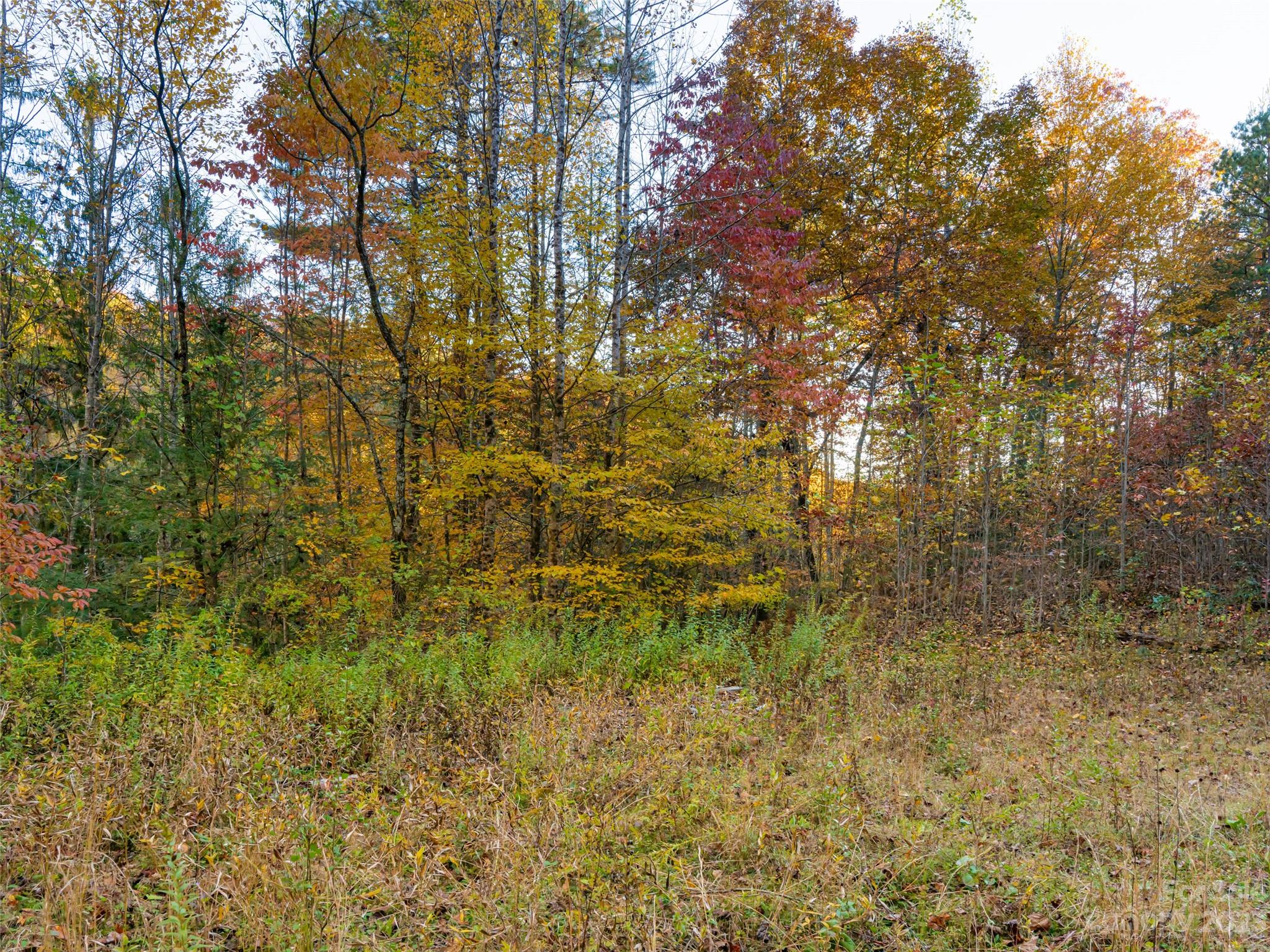 1555 Frozen Creek Road