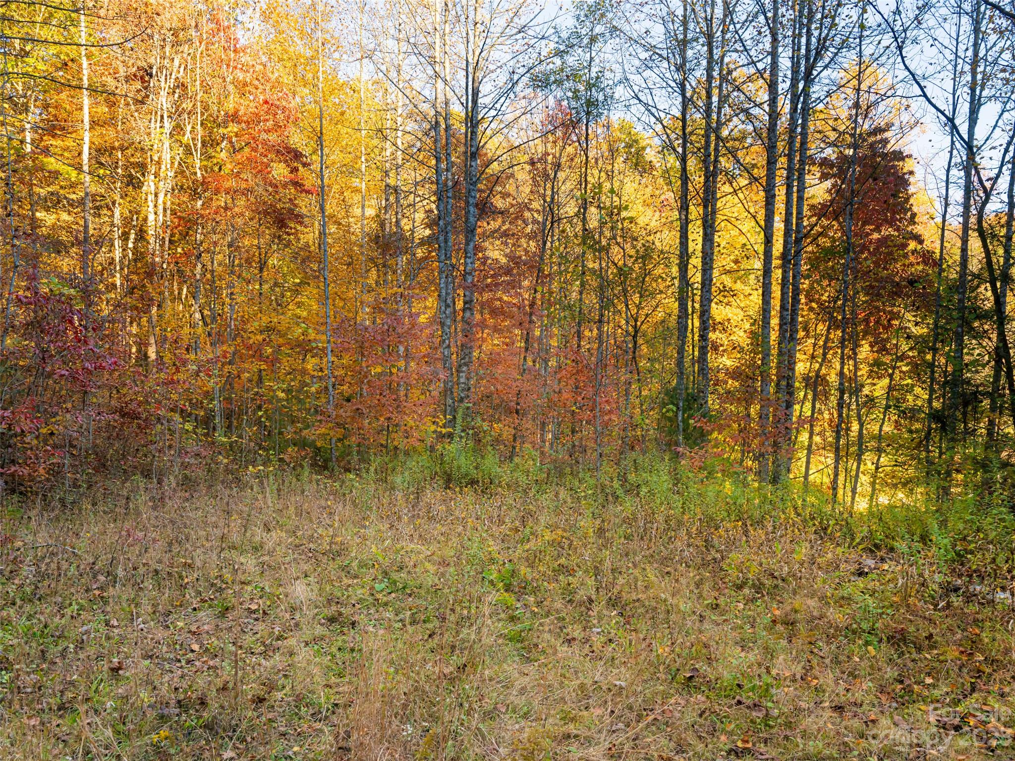 1555 Frozen Creek Road