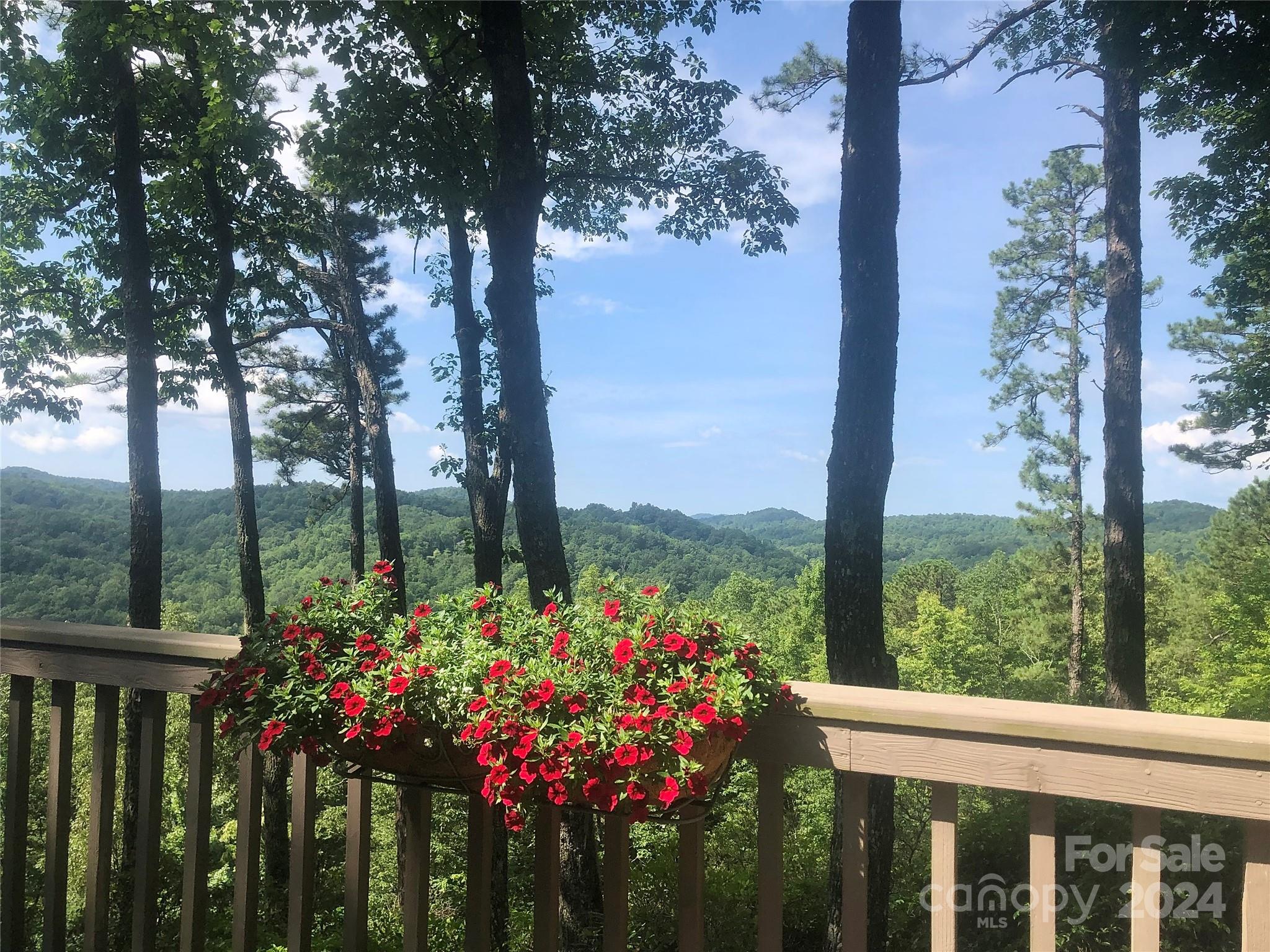 44 Wild Rose Lane