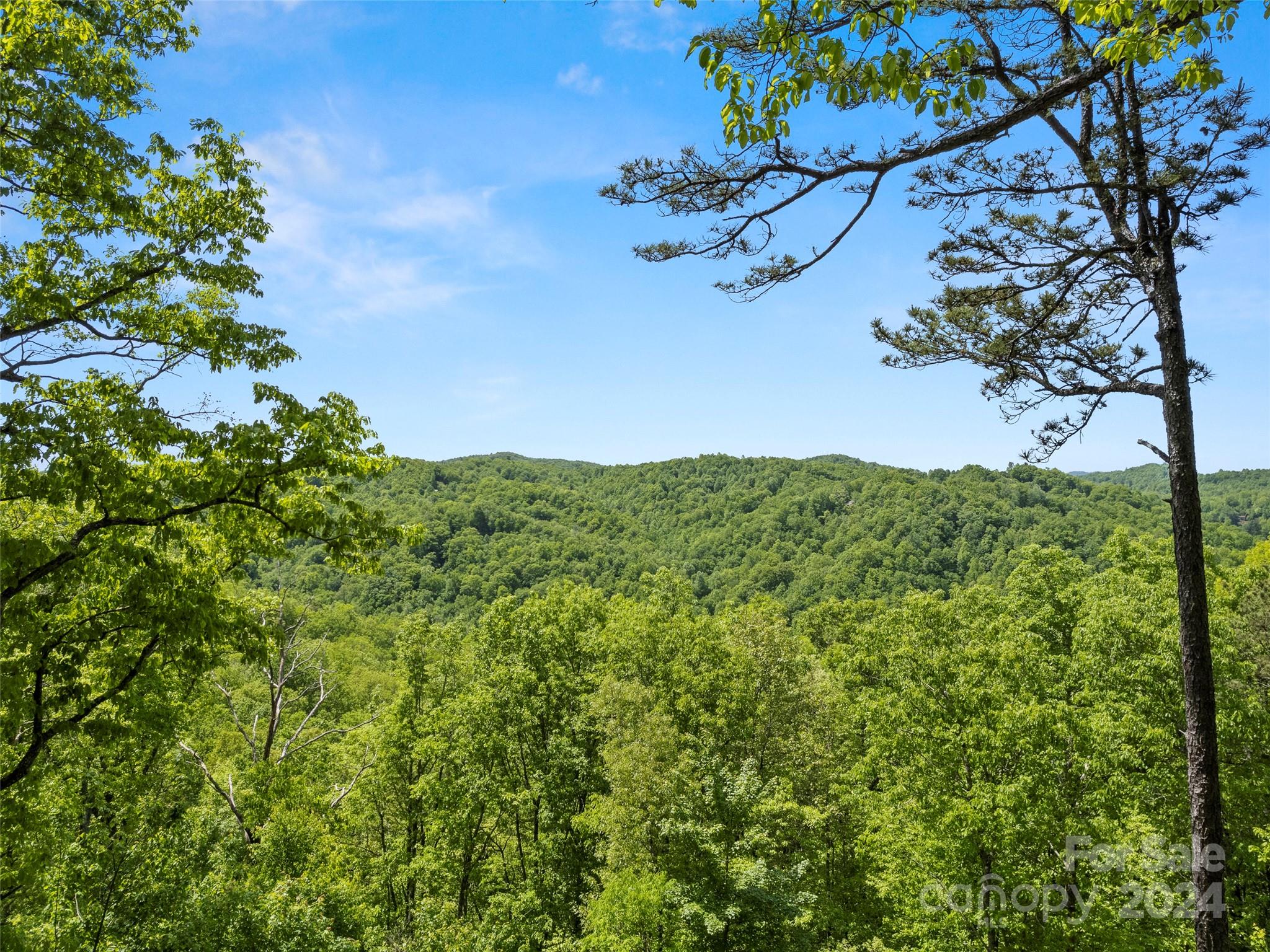 44 Wild Rose Lane