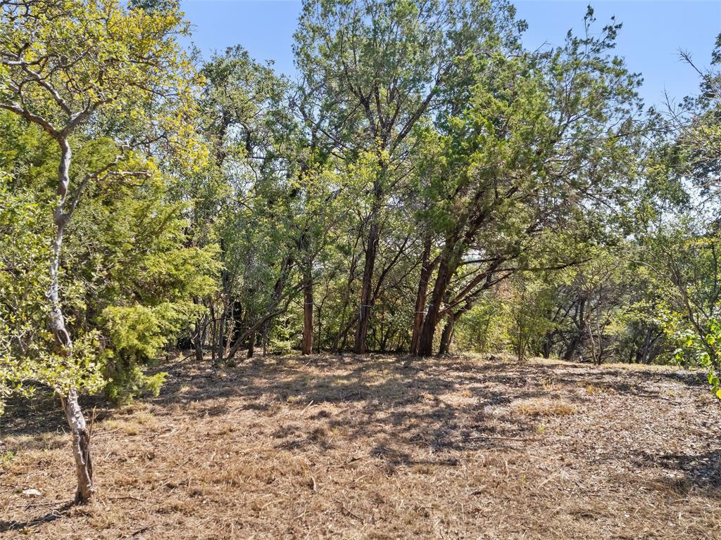 1906 Yaupon Valley RD