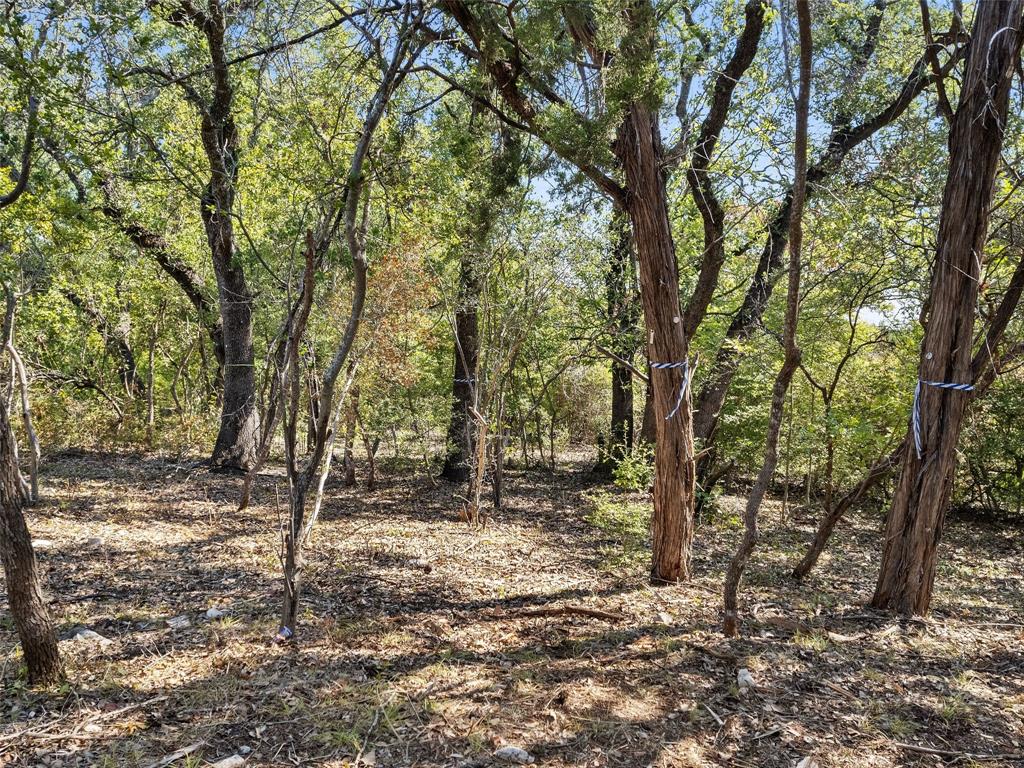 1906 Yaupon Valley RD