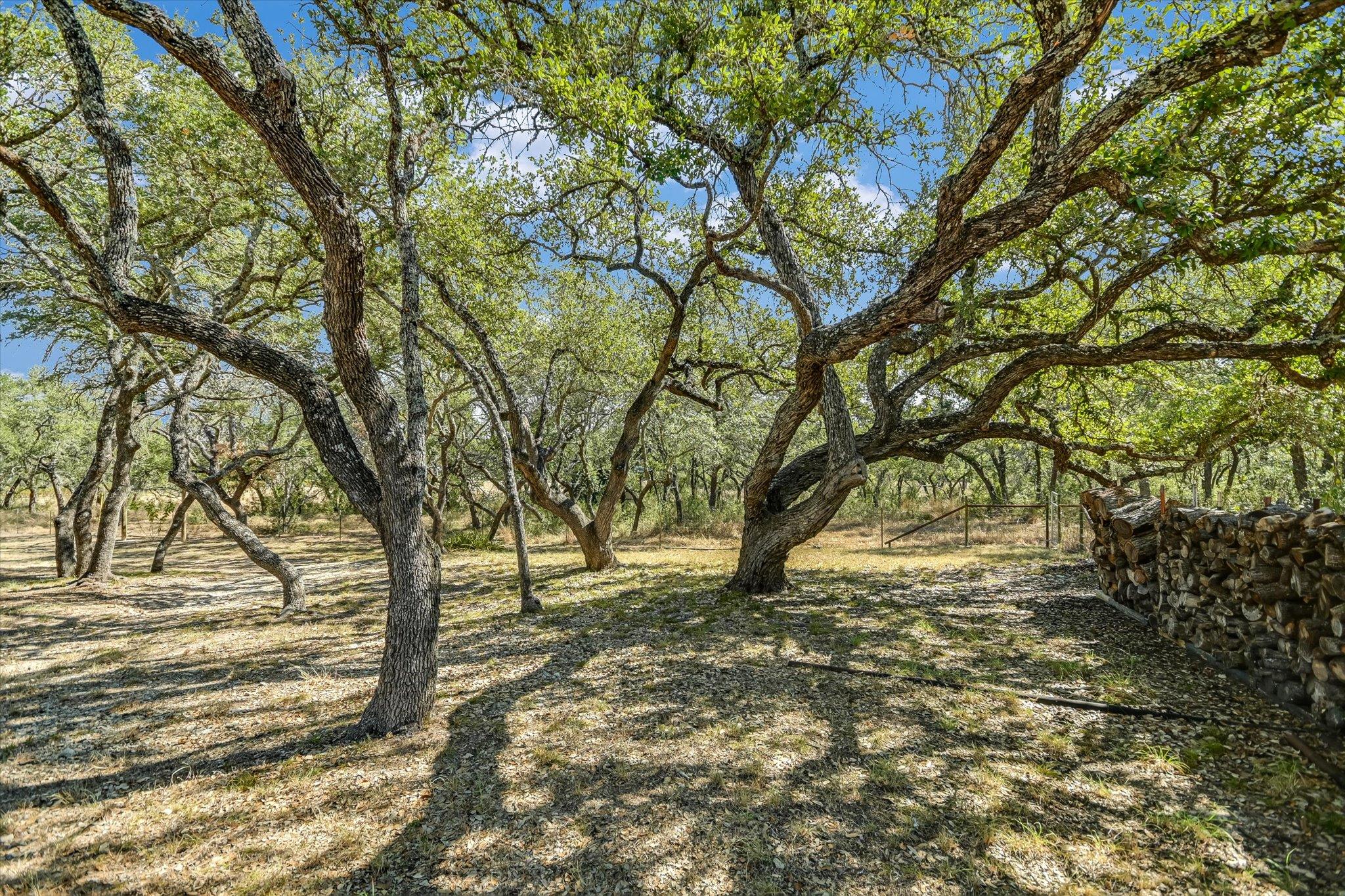 878 Ranch Road 2766