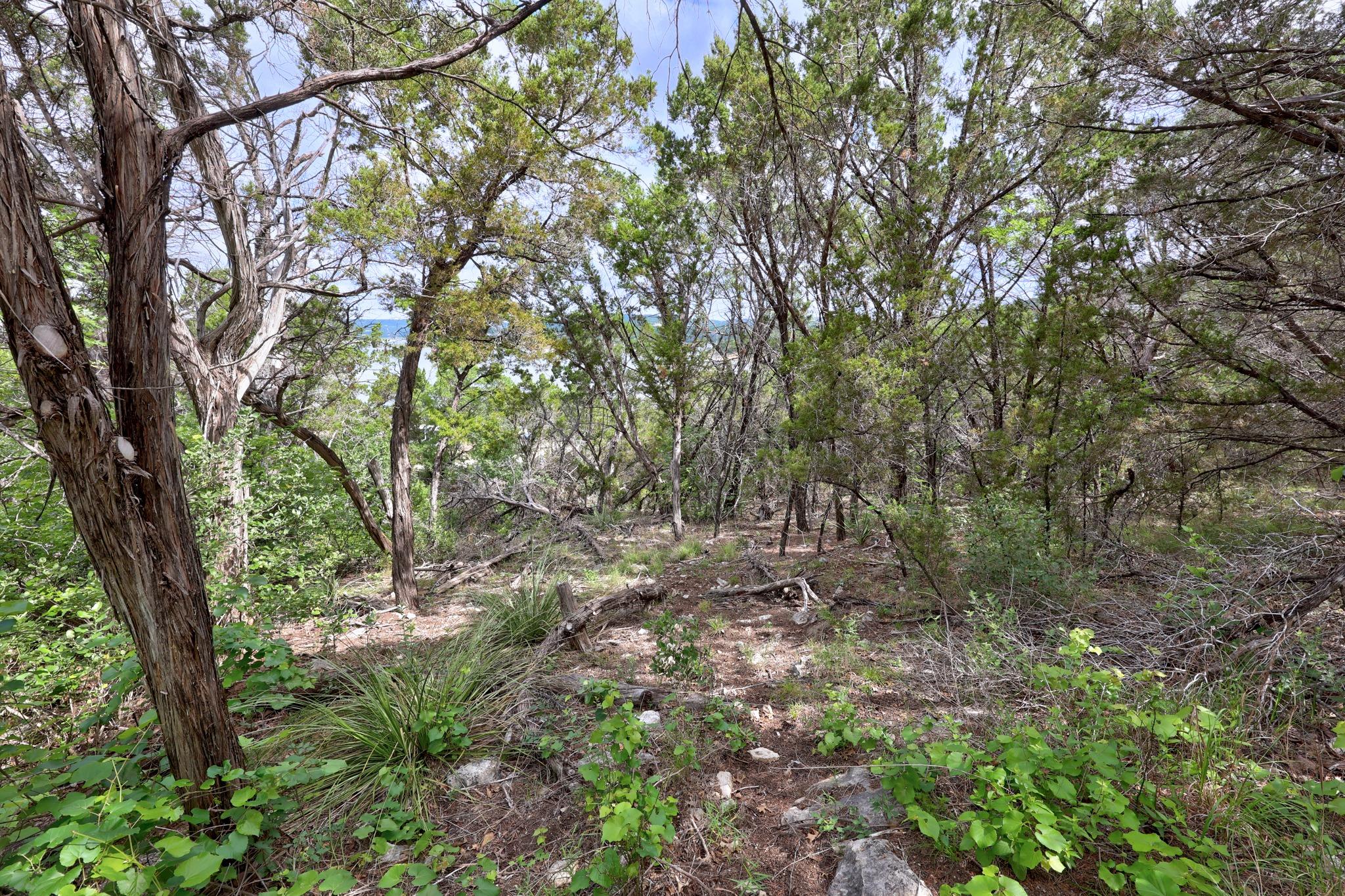 9006 Lime Creek RD
