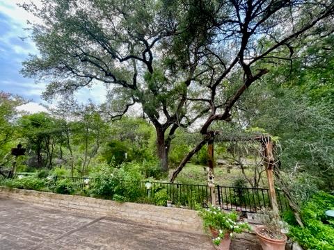 11305 Taylor Draper LN # 2A