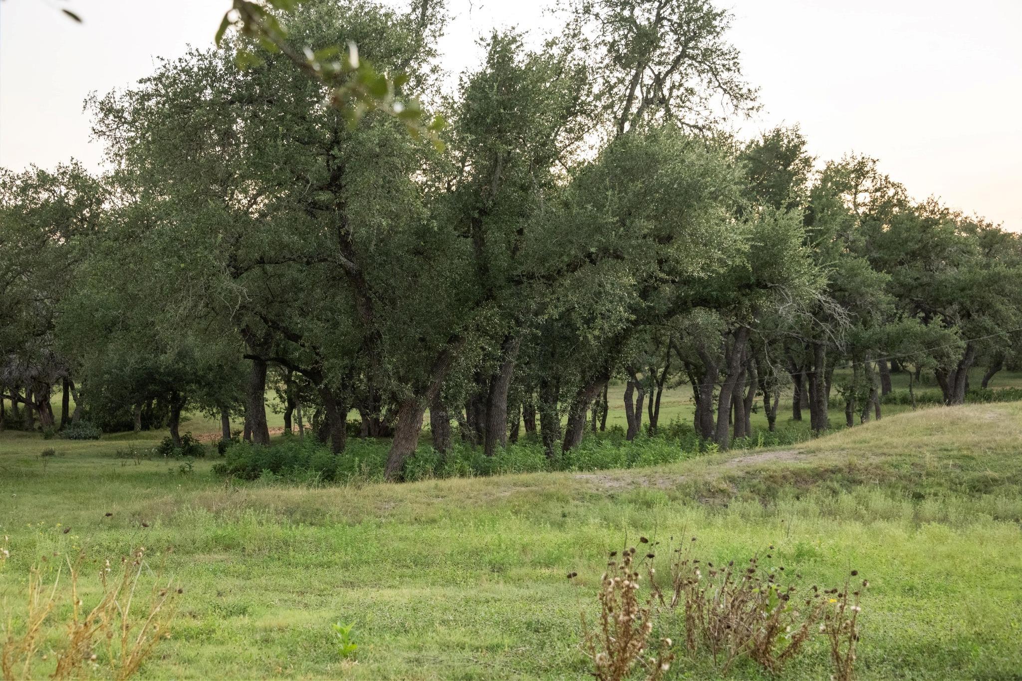 5200 Bell Springs RD