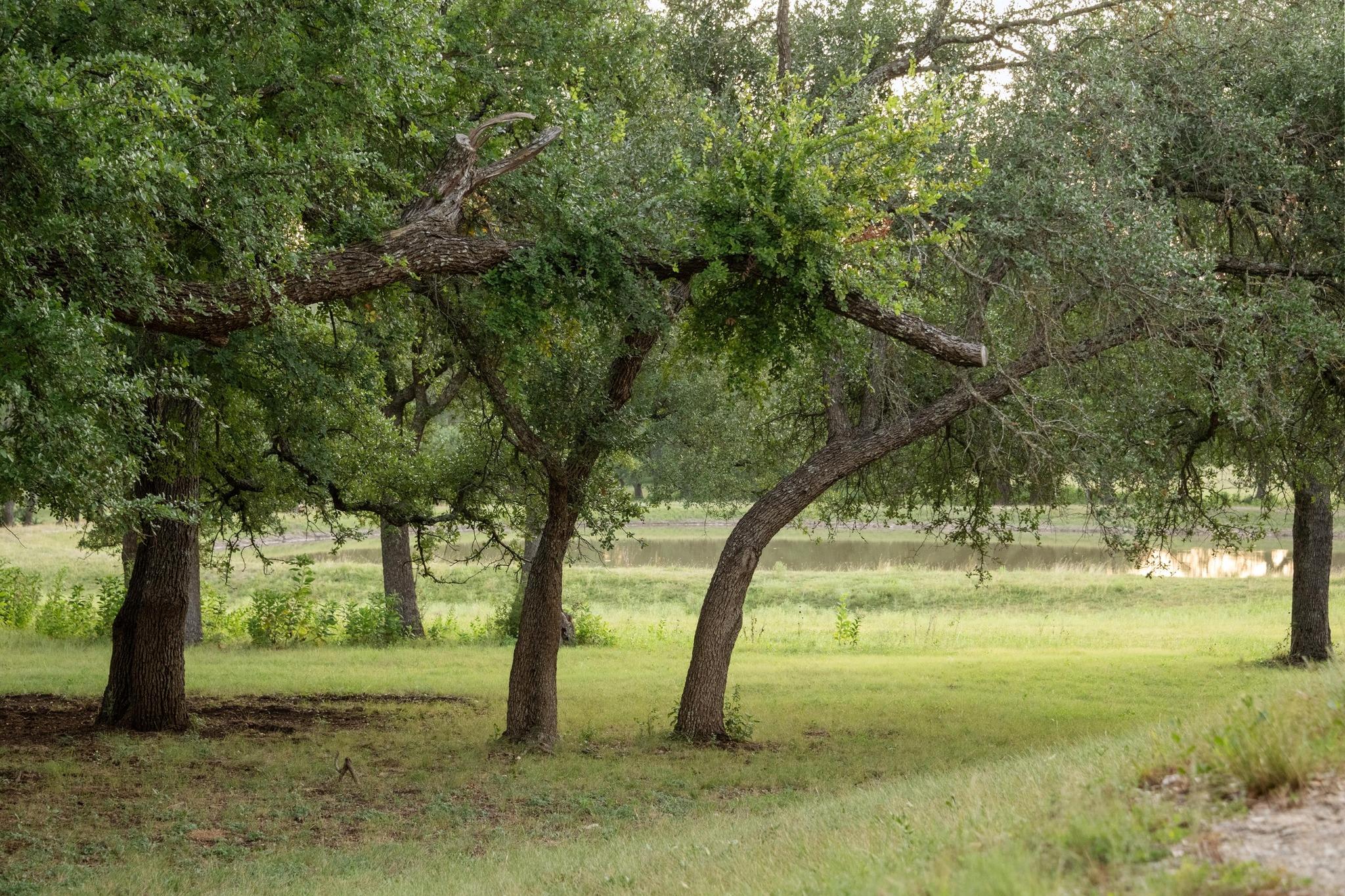 5200 Bell Springs RD