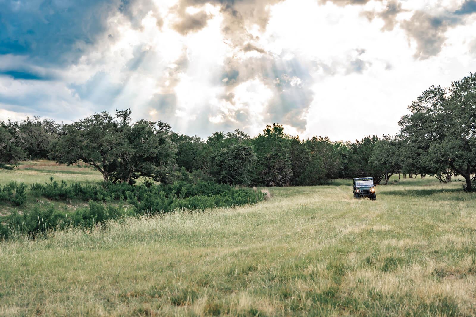 17650 Hamilton Pool RD