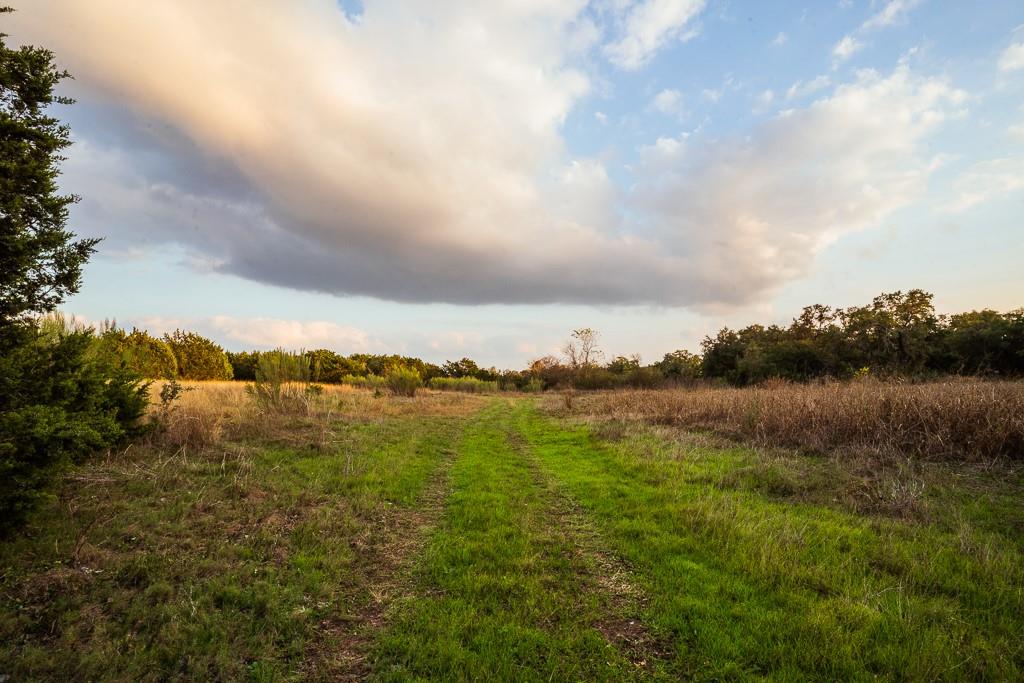 17650 Hamilton Pool RD