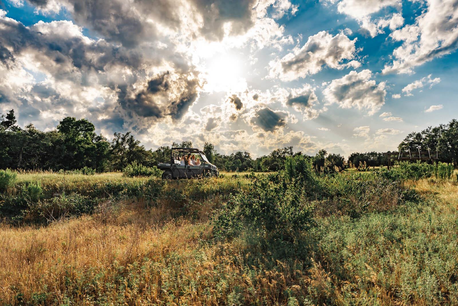 17650 Hamilton Pool RD