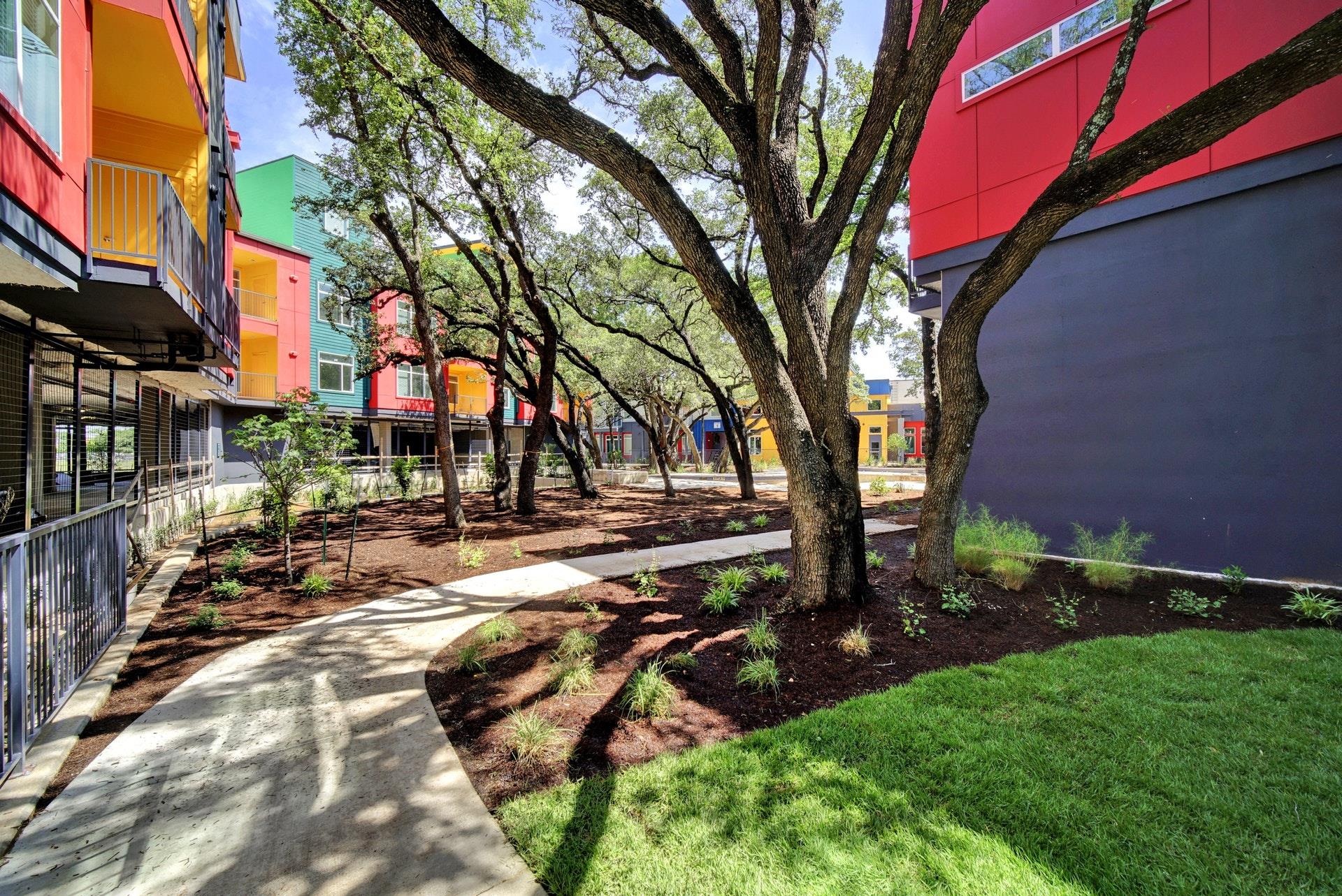 13130 Pond Springs Road RD # 3213