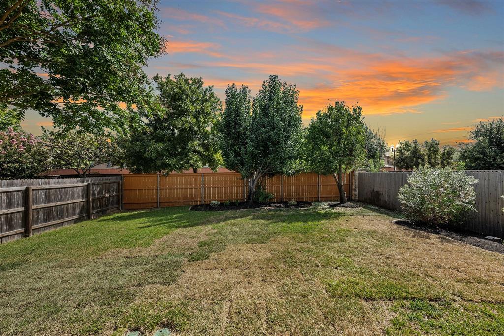 11117 Persimmon Gap DR