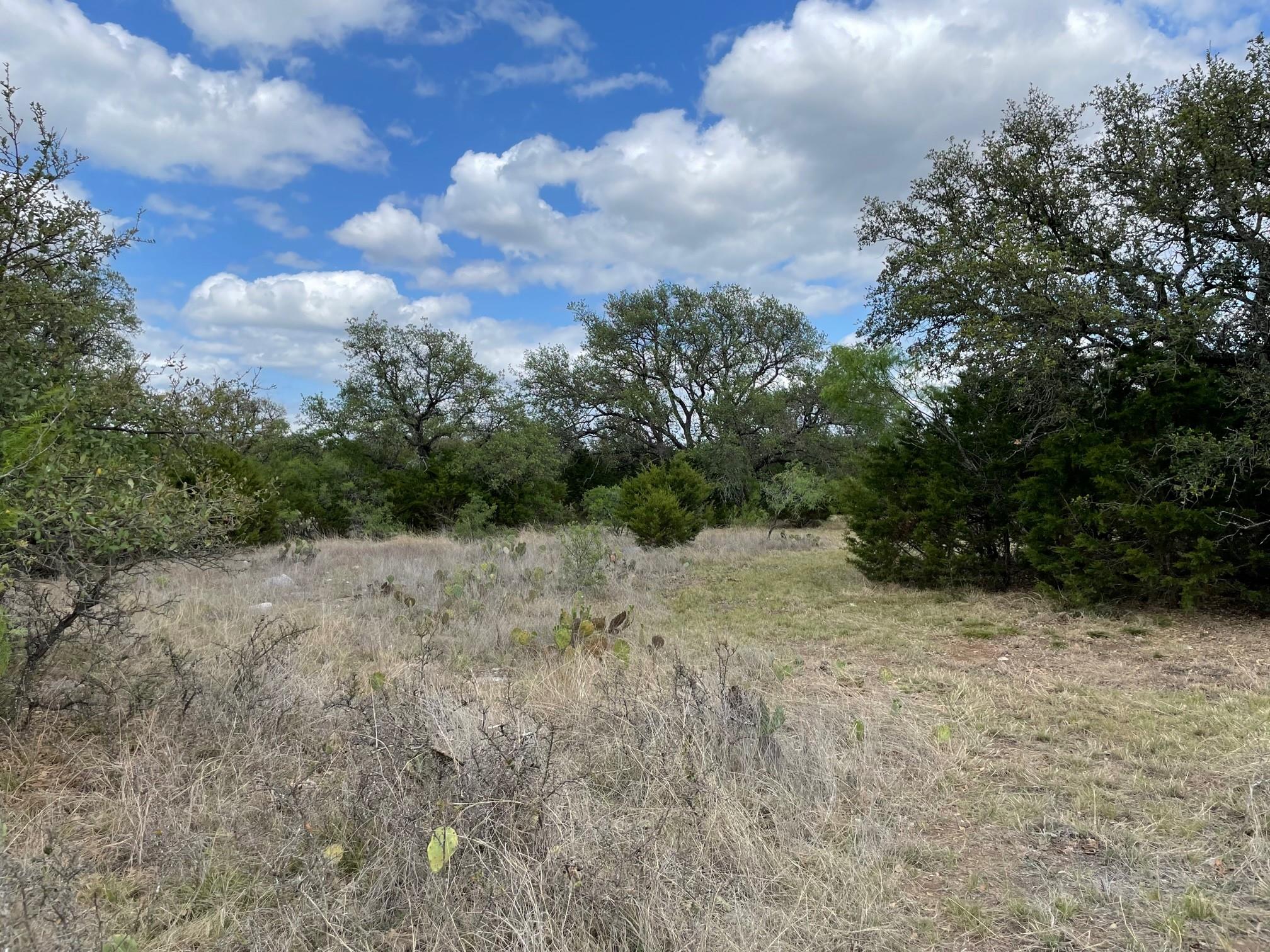 302 Vista View TRL