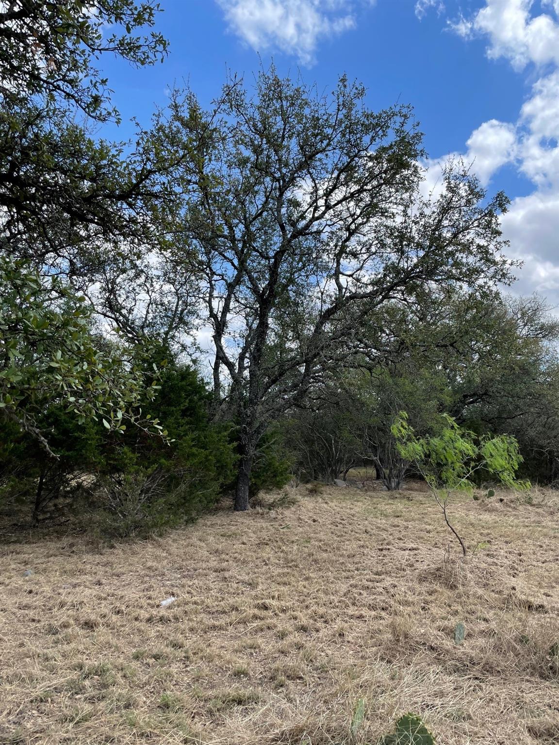 302 Vista View TRL