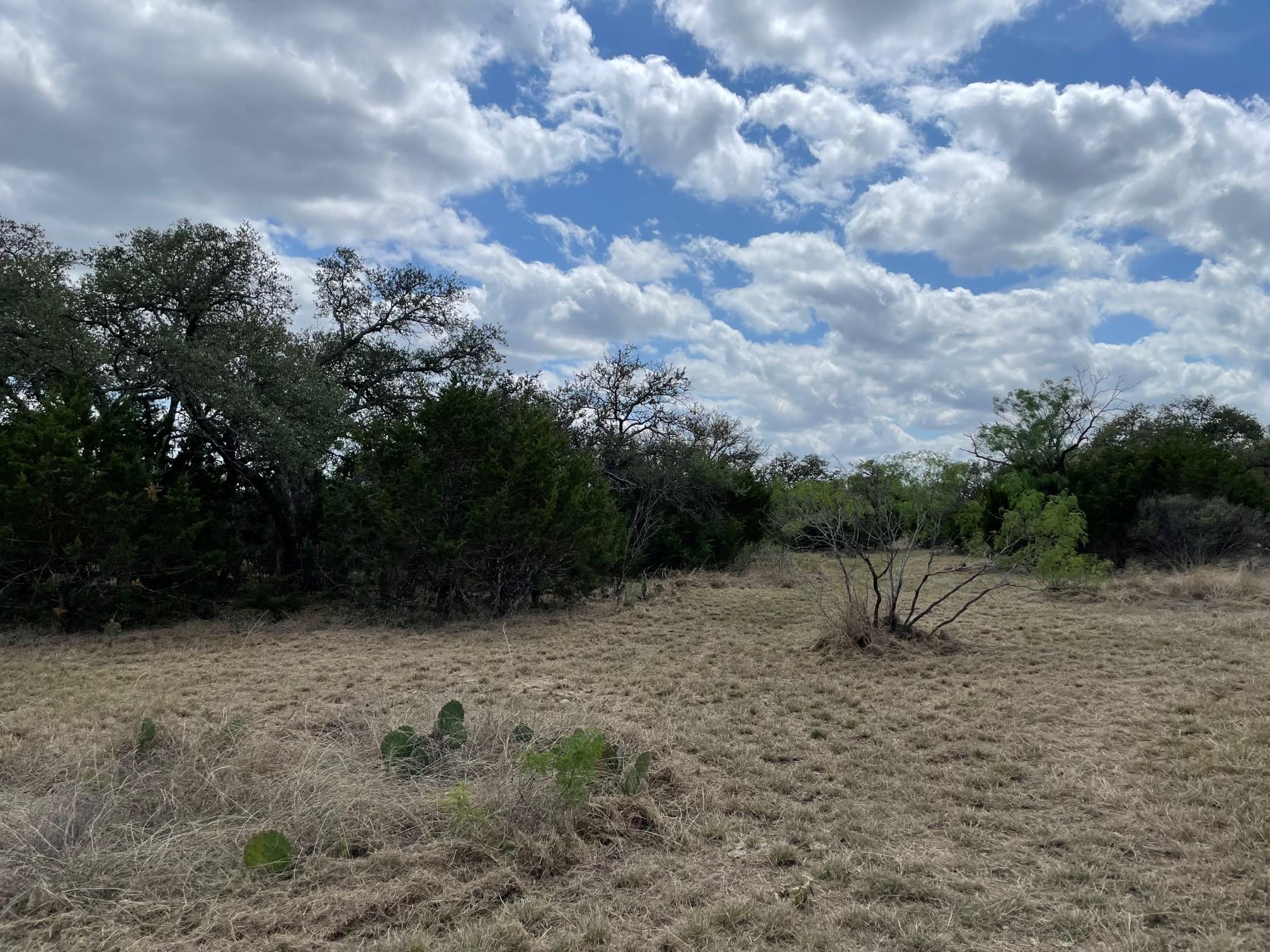 302 Vista View TRL