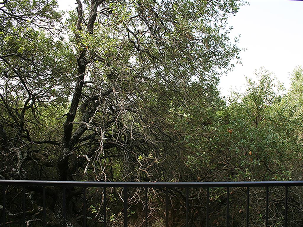 4711 Spicewood Springs RD # 226