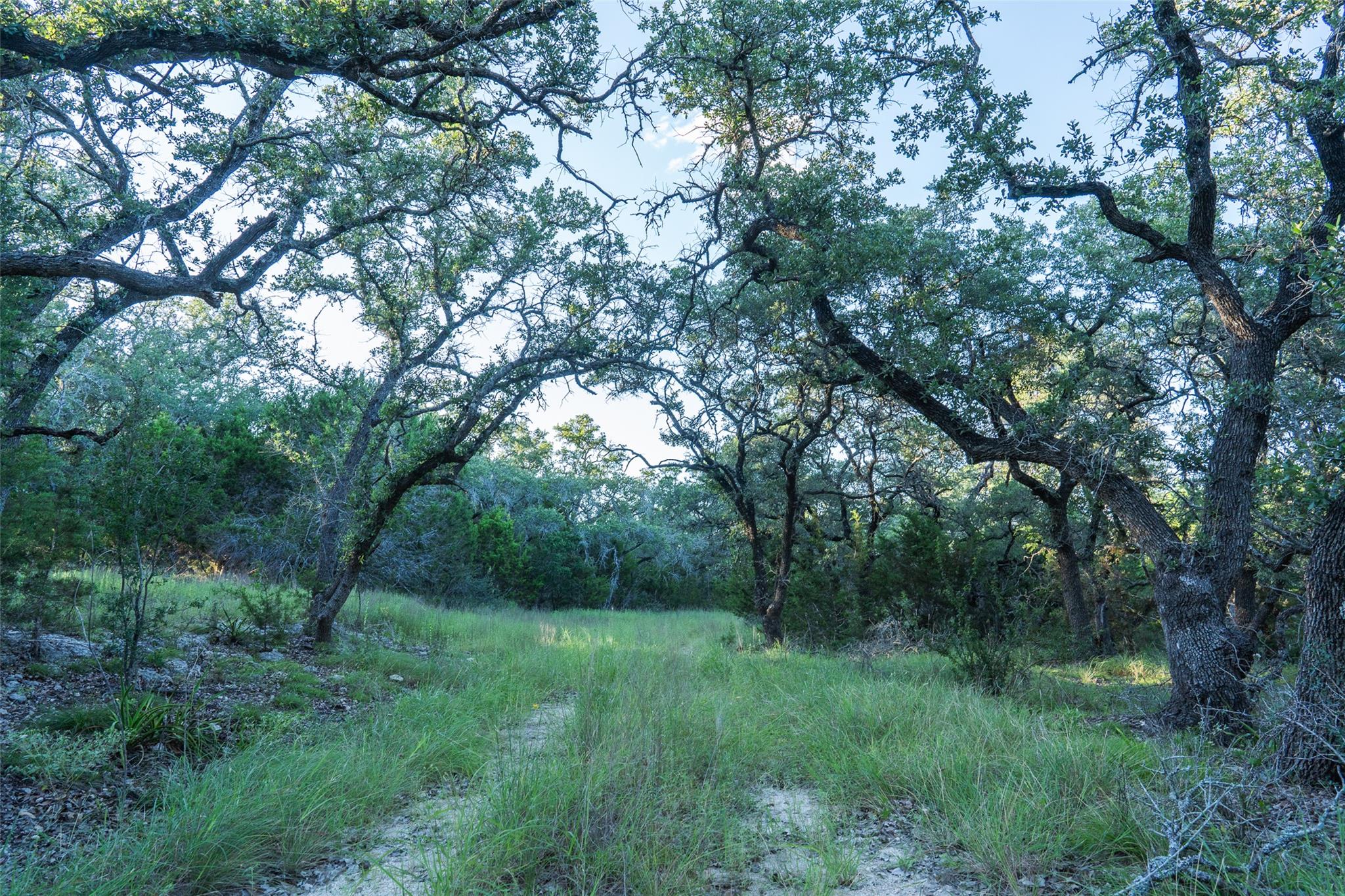 TBD Crabapple RD