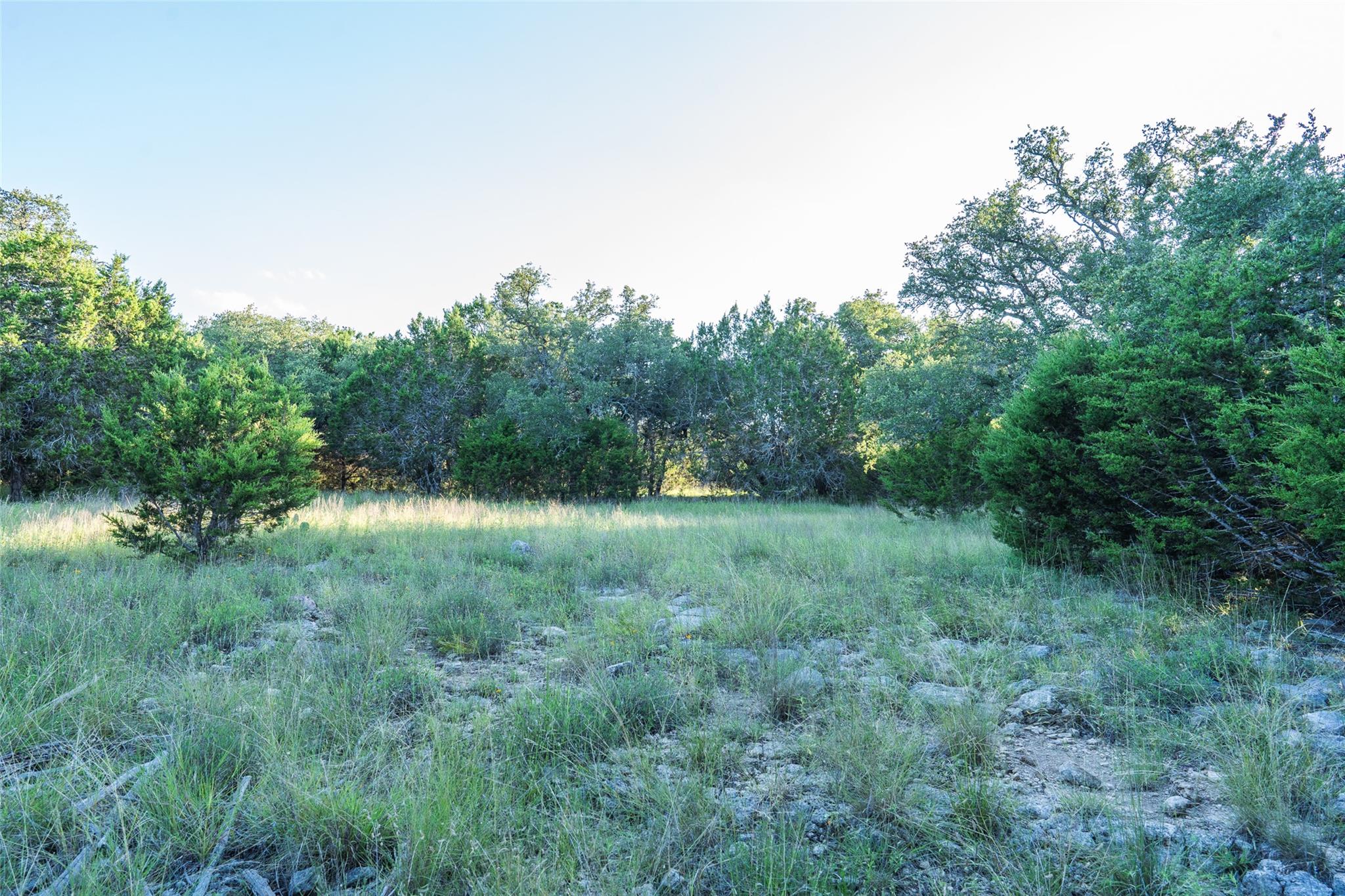 TBD Crabapple RD