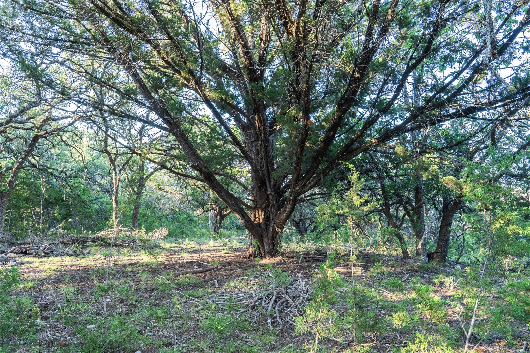 TBD Crabapple RD