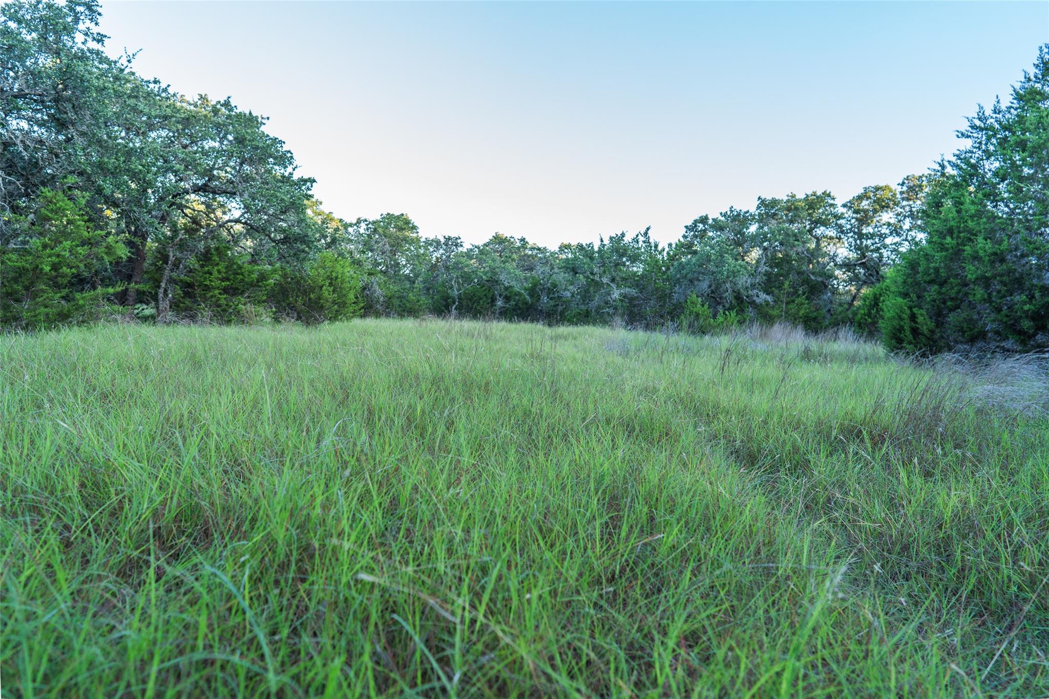 TBD Crabapple RD