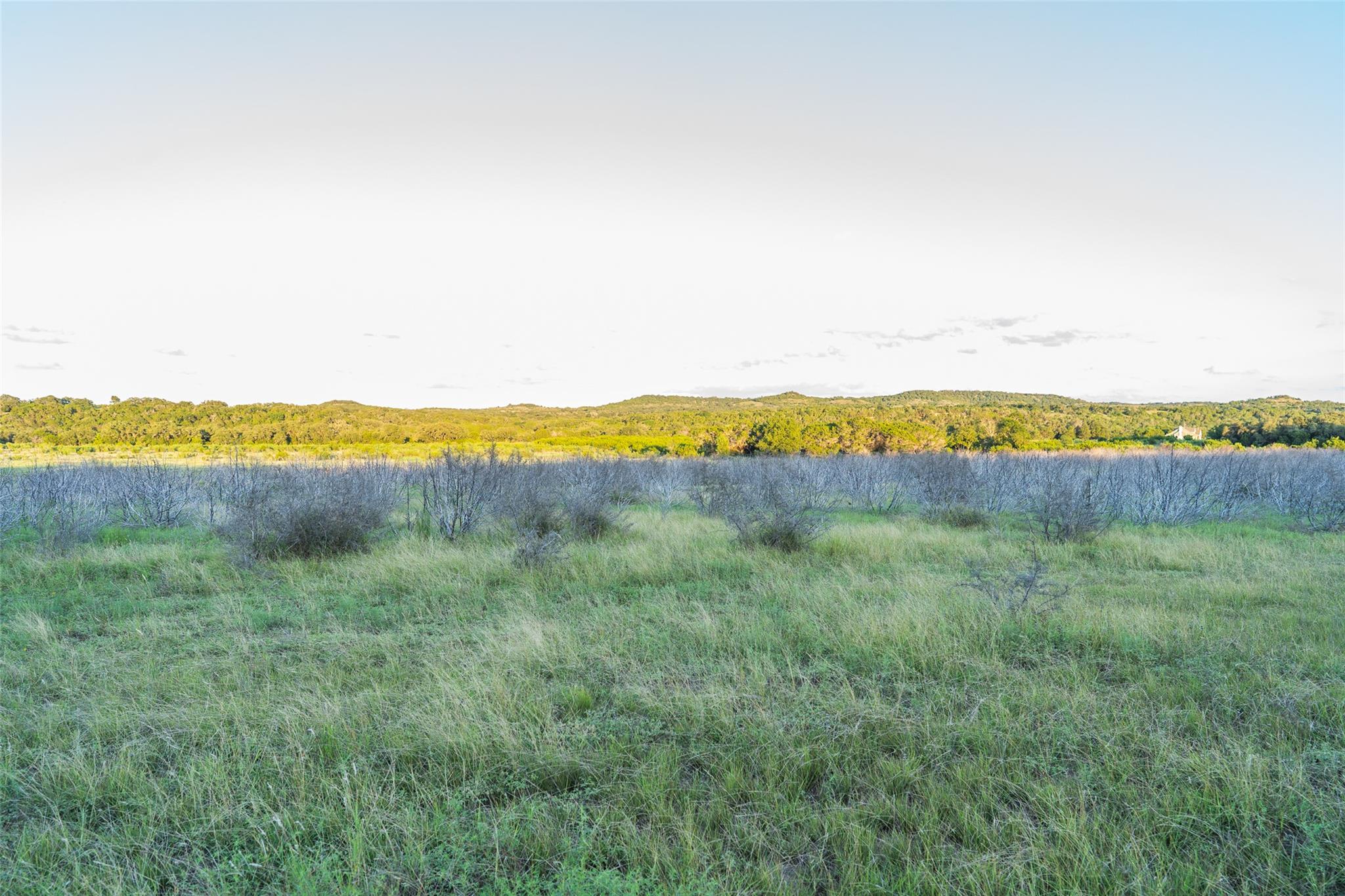 TBD Crabapple RD