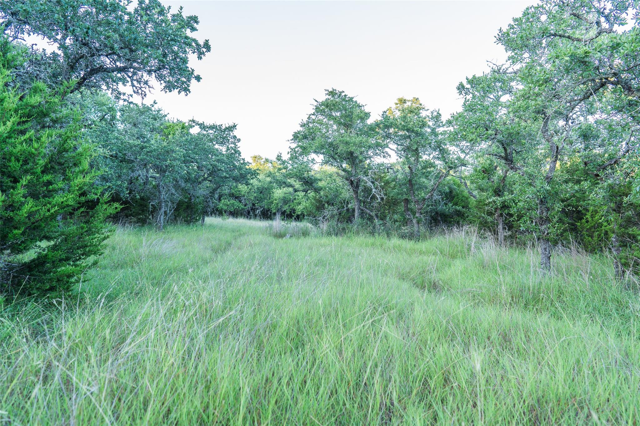 TBD Crabapple RD