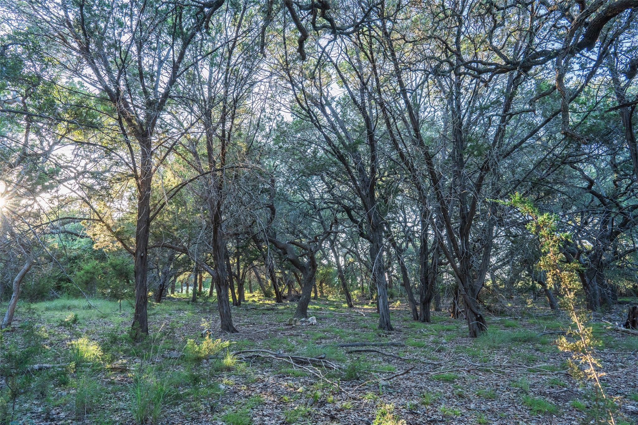 TBD Crabapple RD