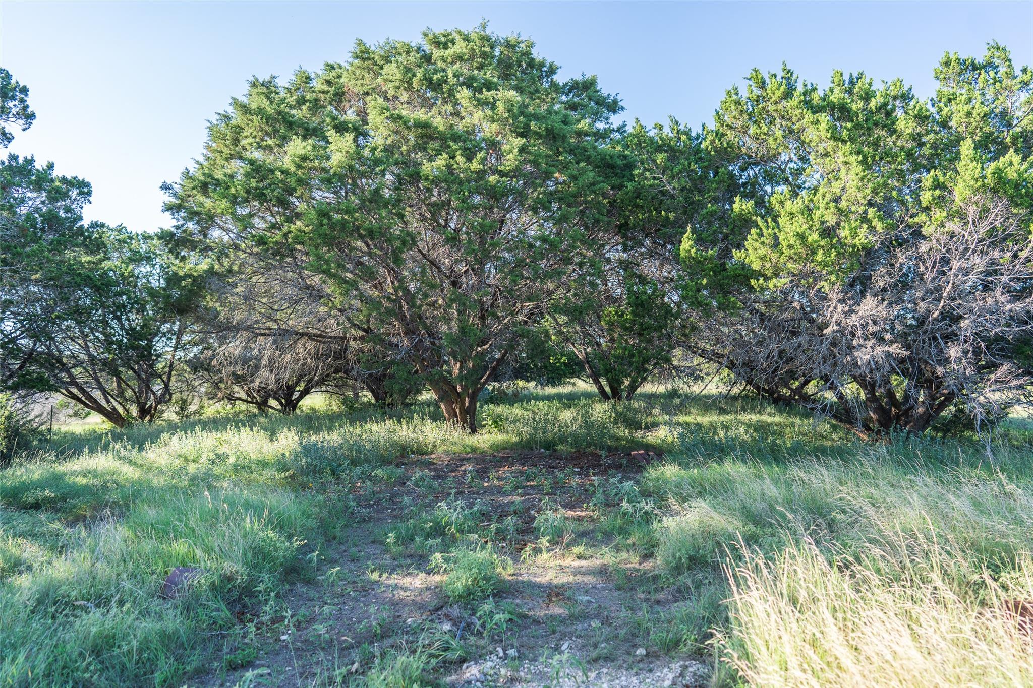 TBD Crabapple RD