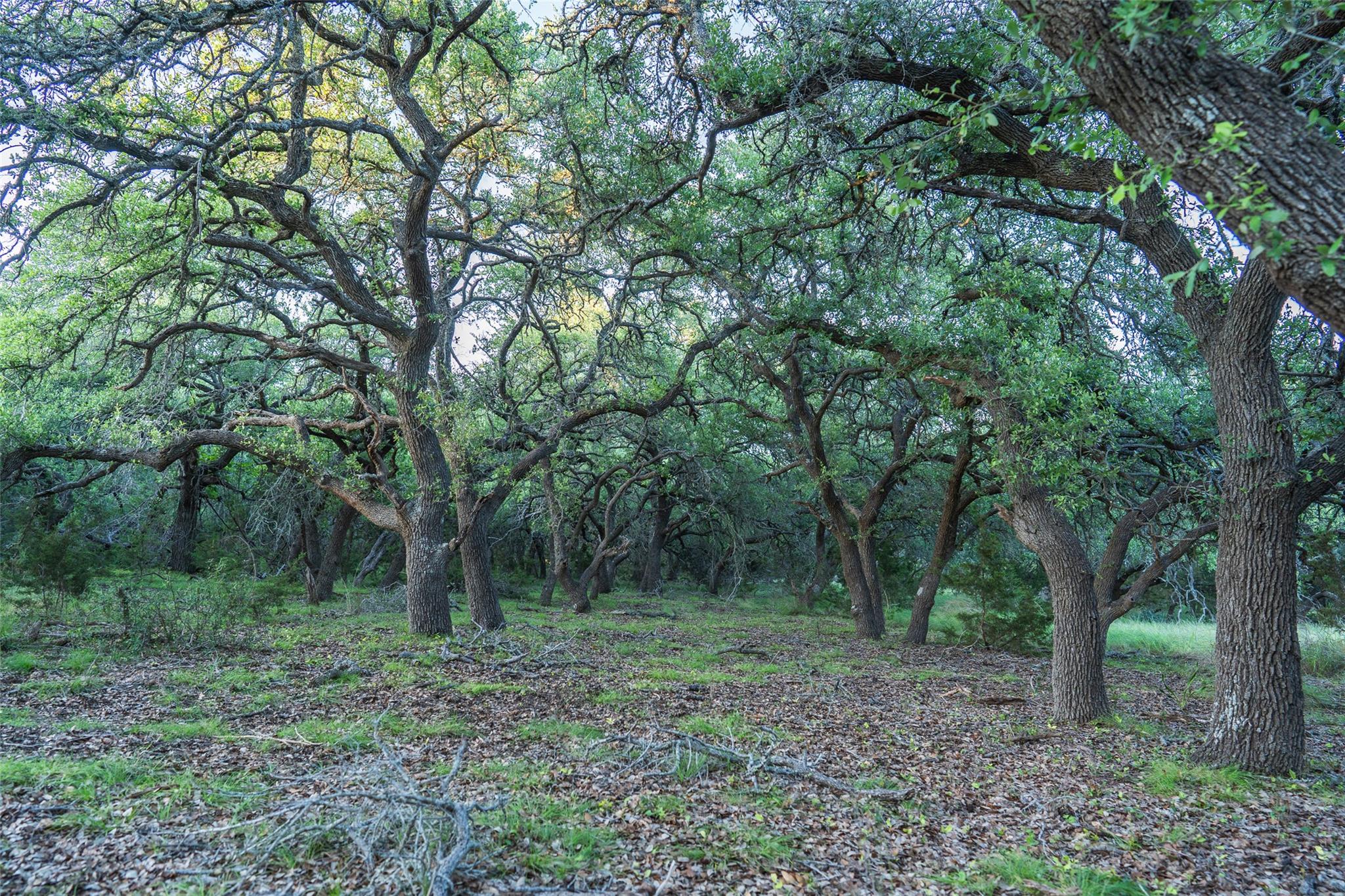 TBD Crabapple RD