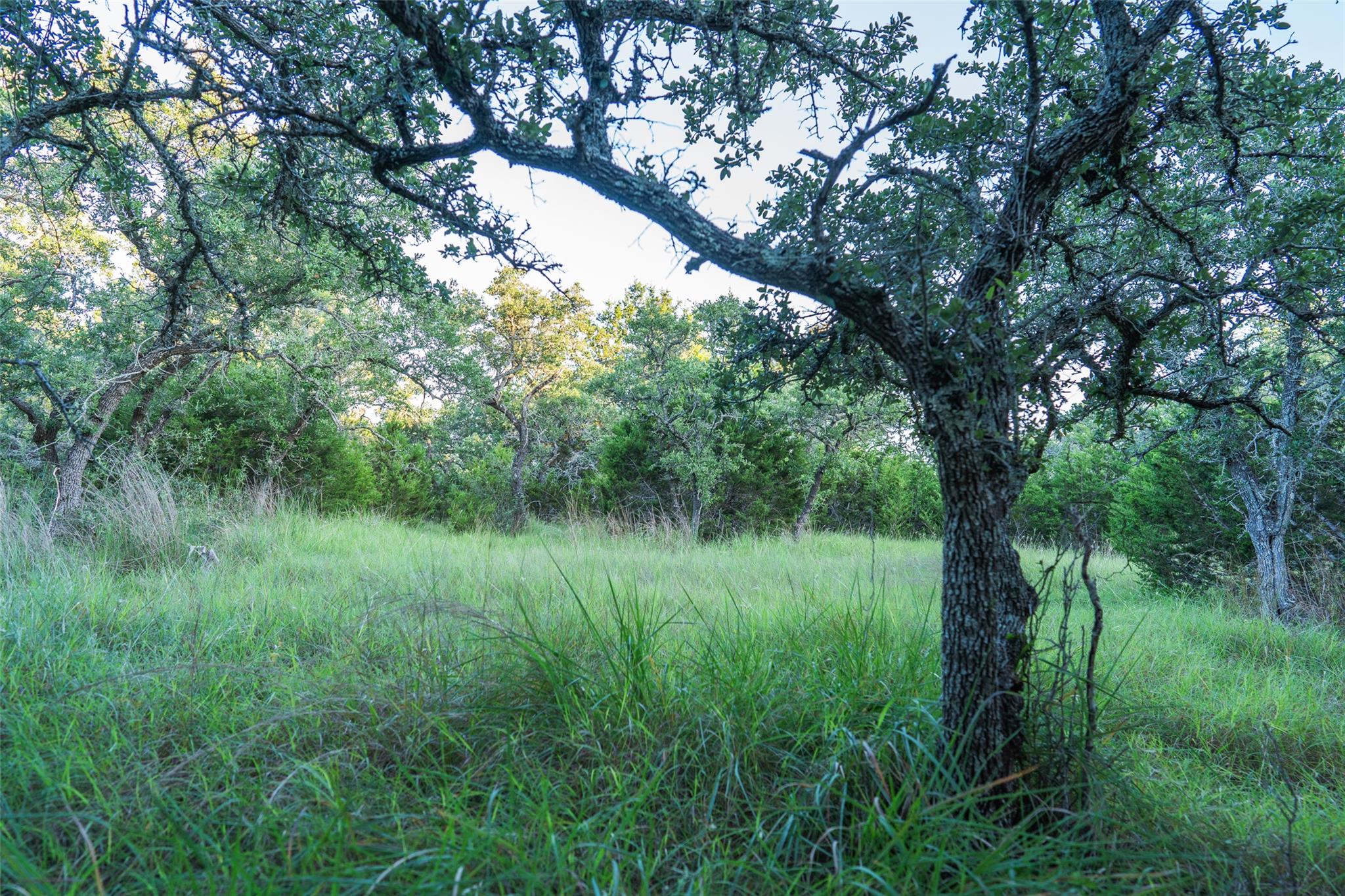 TBD Crabapple RD