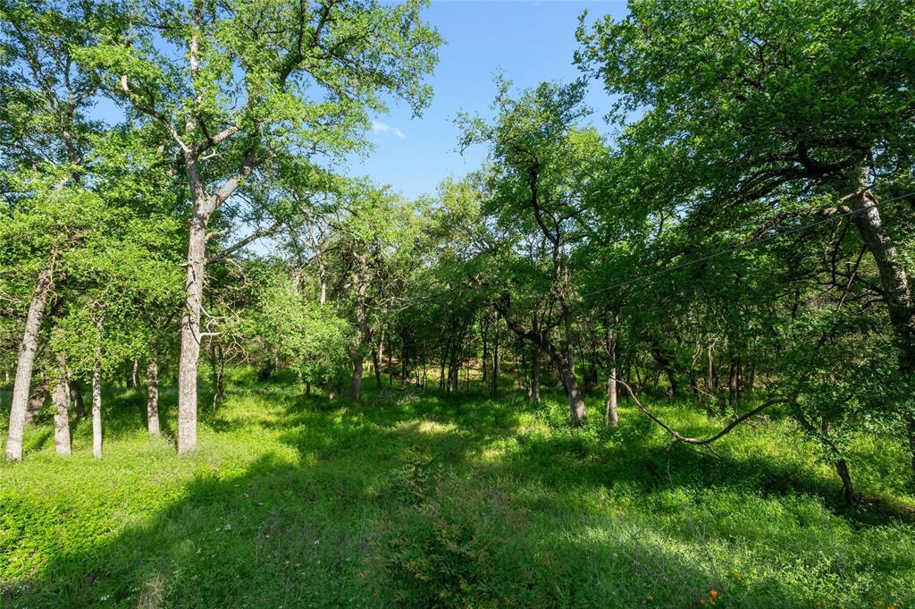 5406 Buffalo PASS