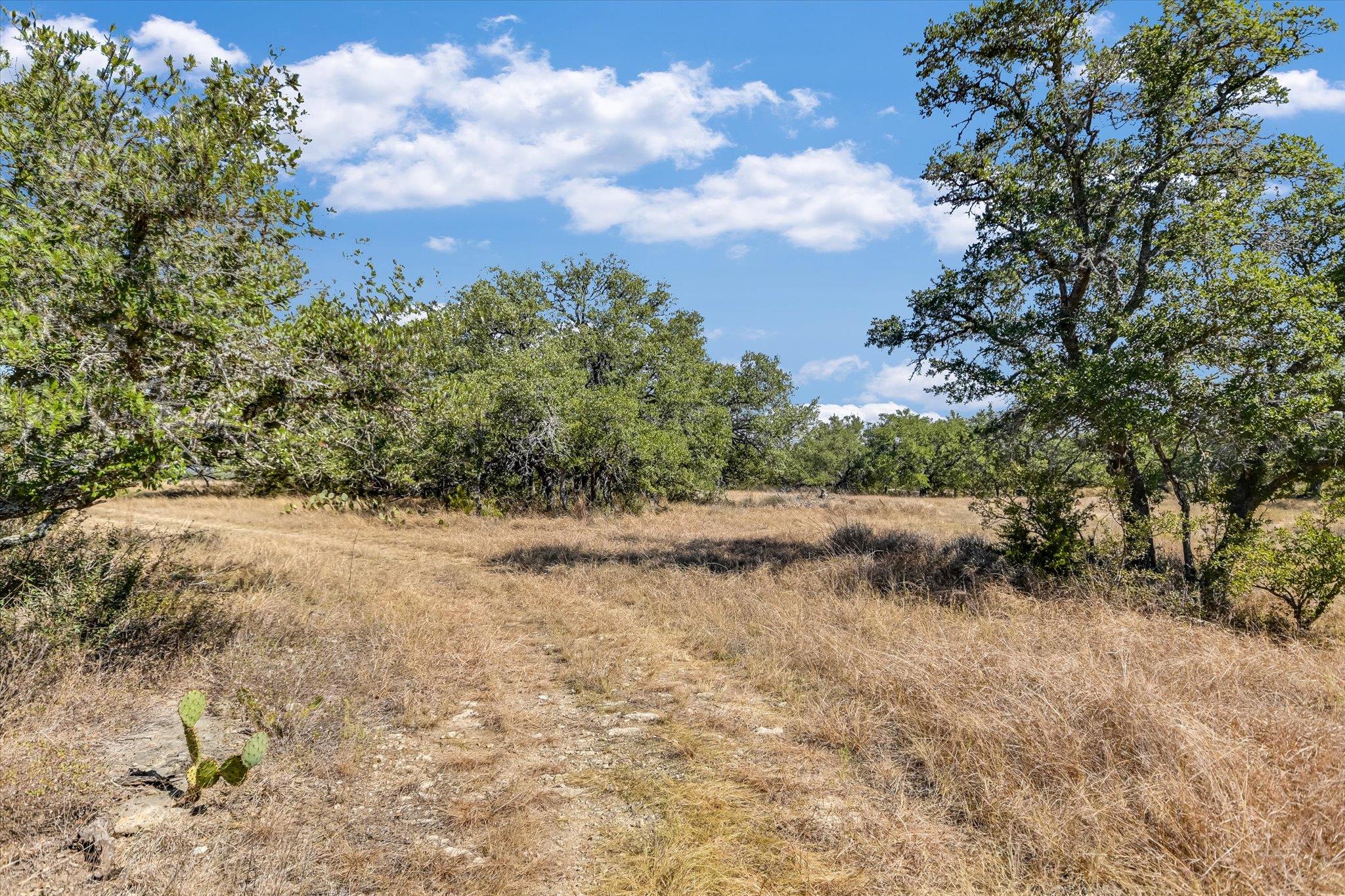878 Ranch Road 2766