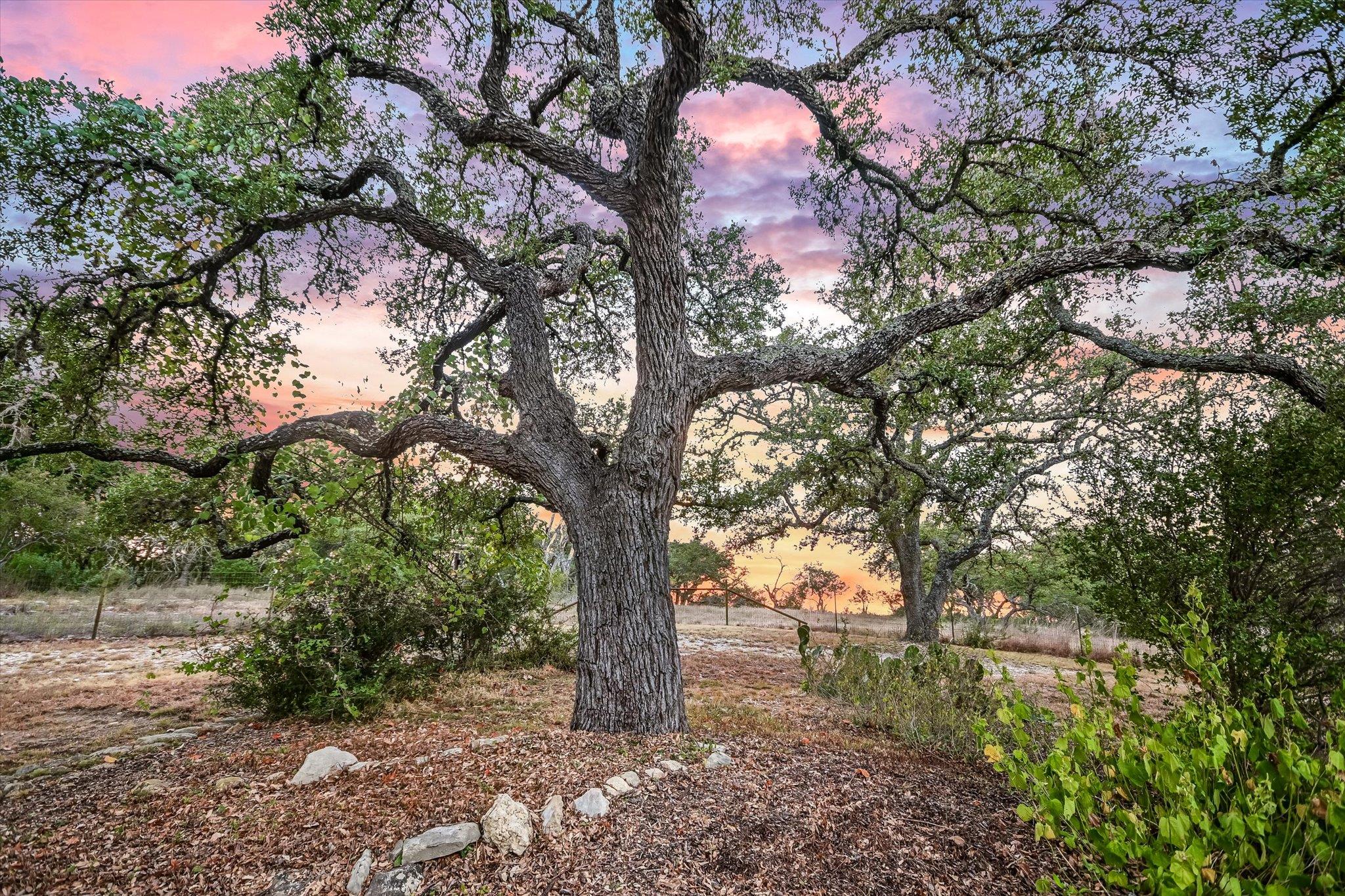 878 Ranch Road 2766