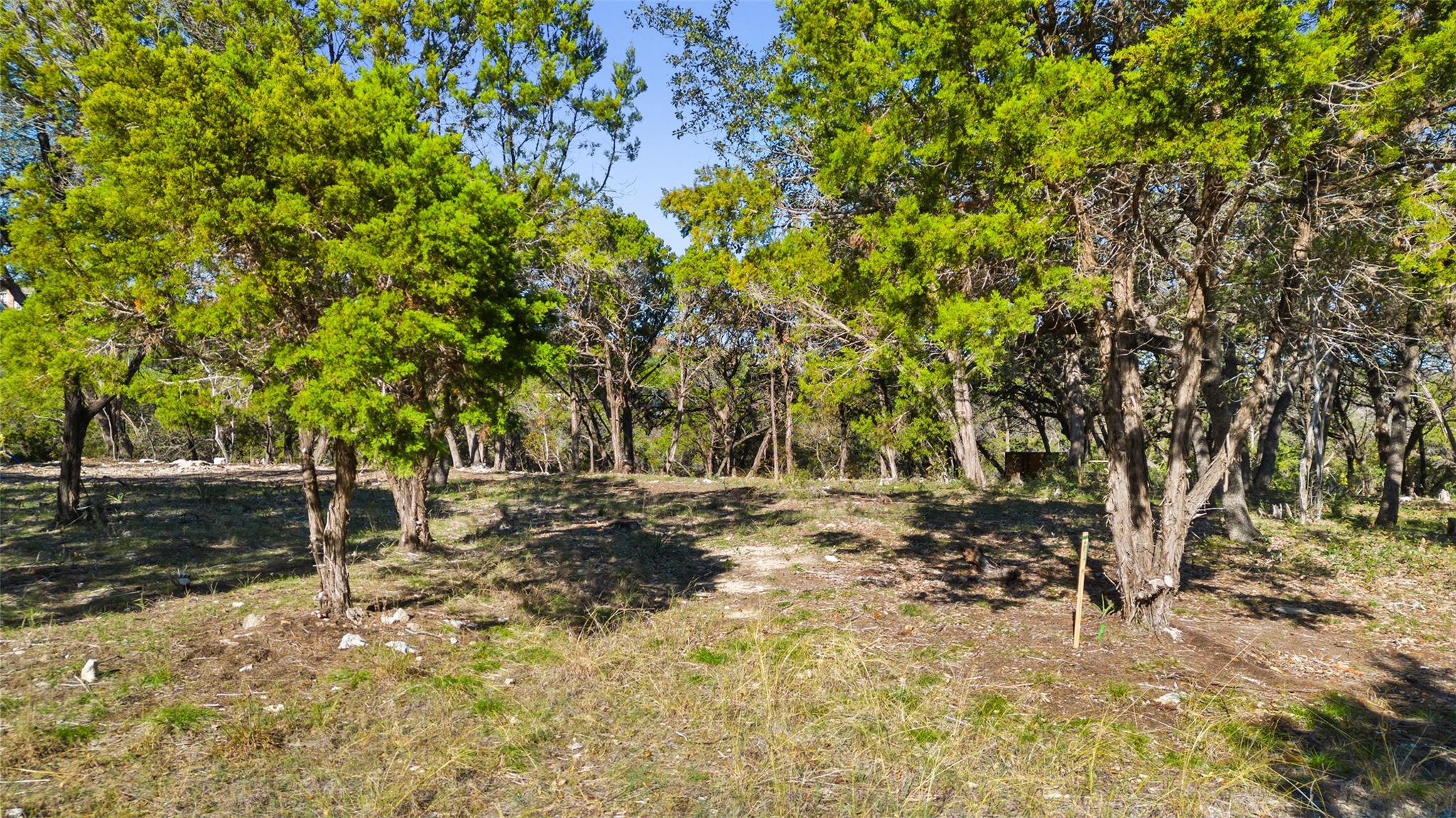 2 Martelli LN
